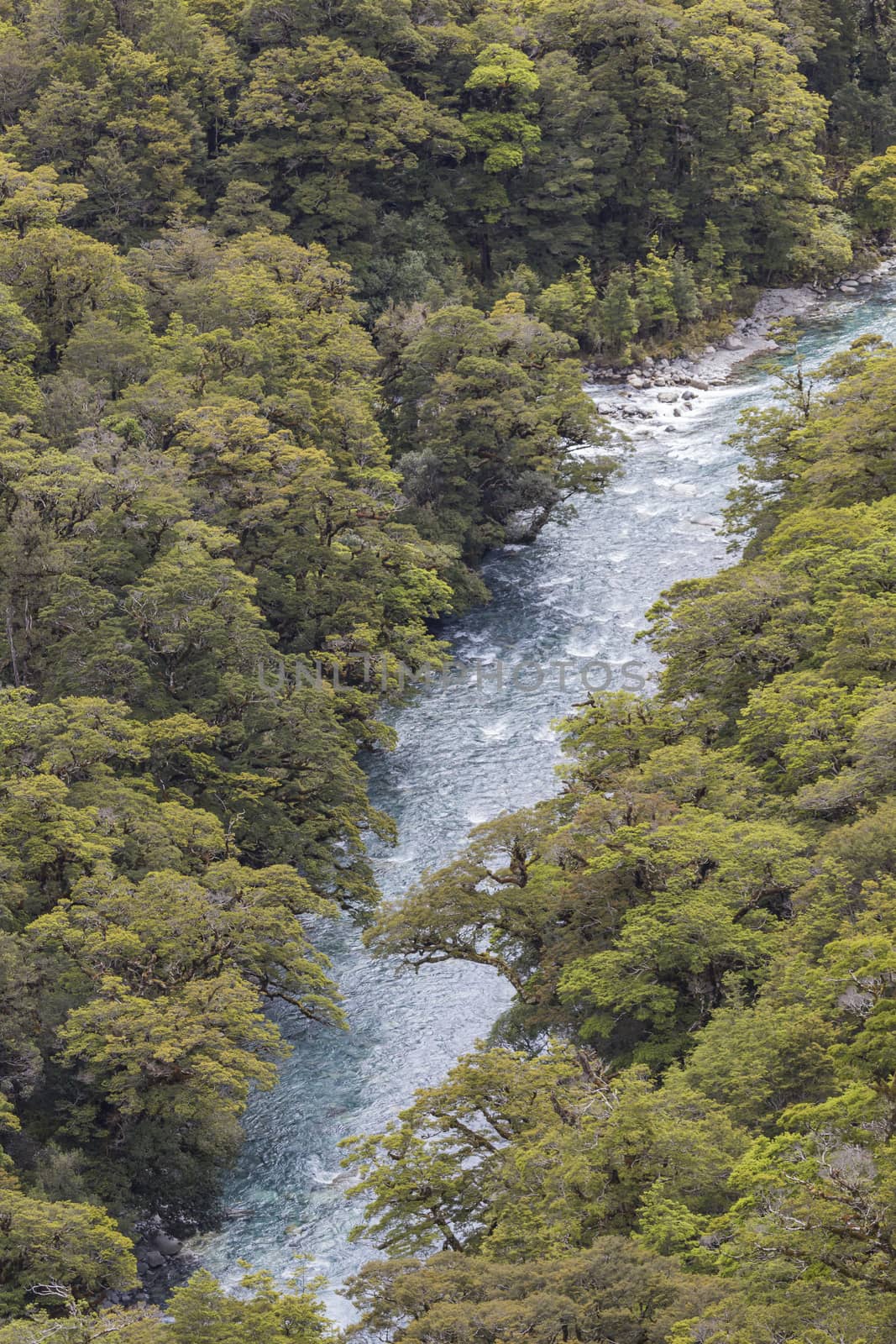 The Chasm (Fiordland, South Island, New Zealand)

