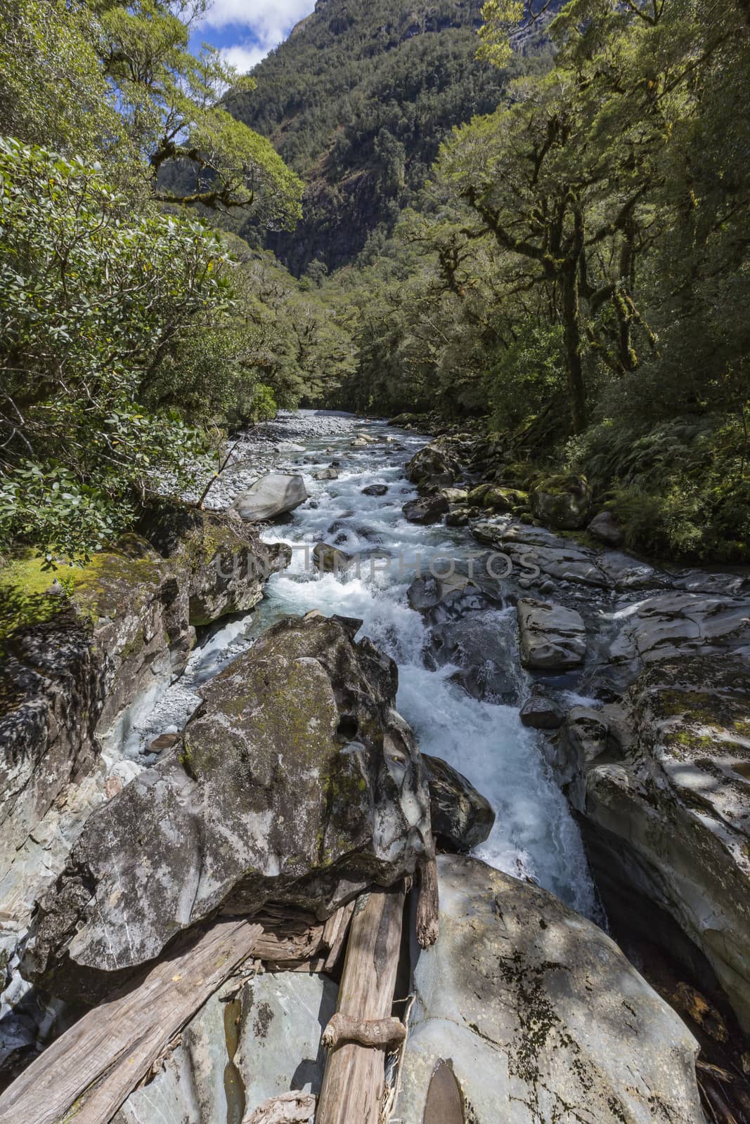 The Chasm (Fiordland, South Island, New Zealand)

