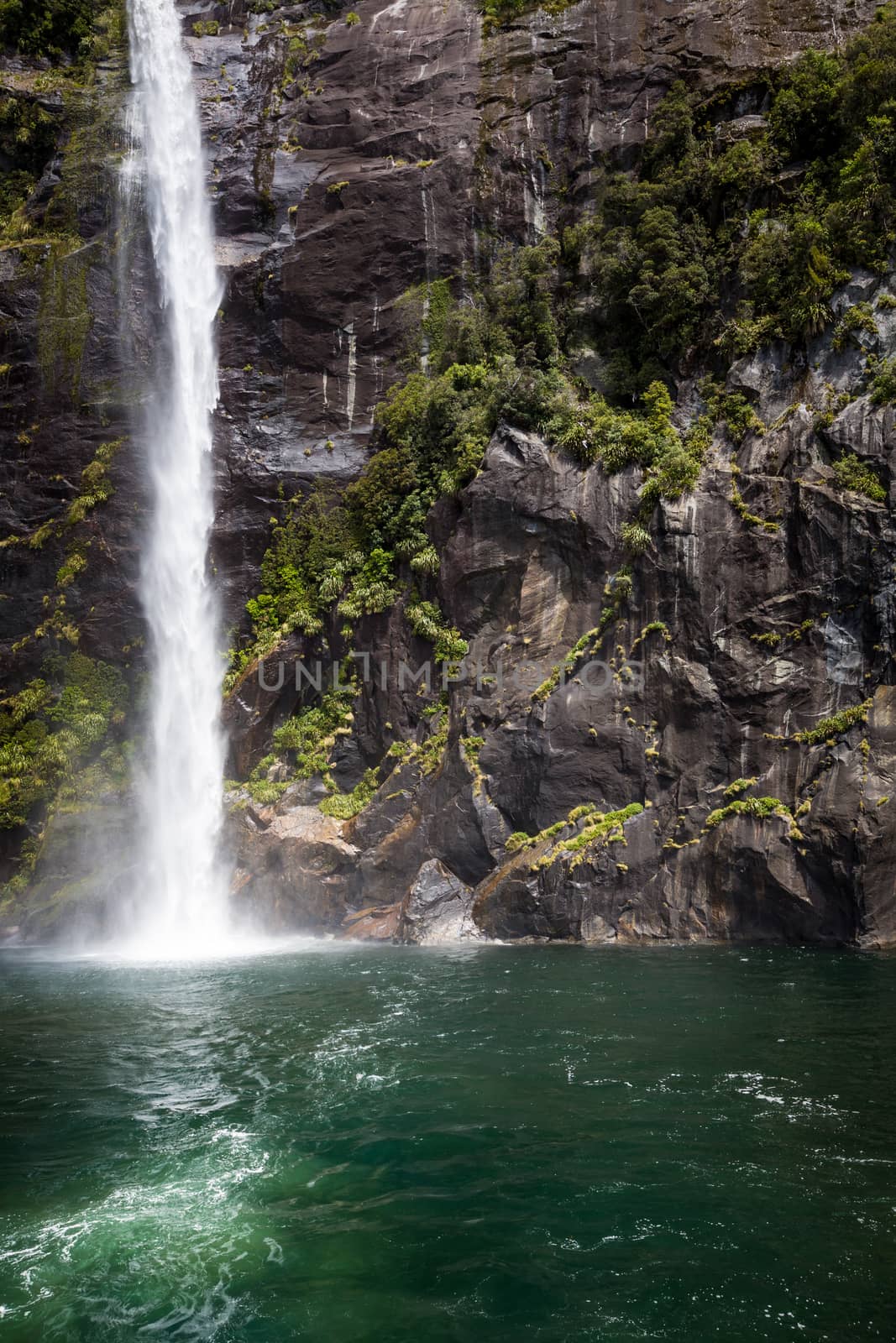 Milford sound. New Zealand fiordland 