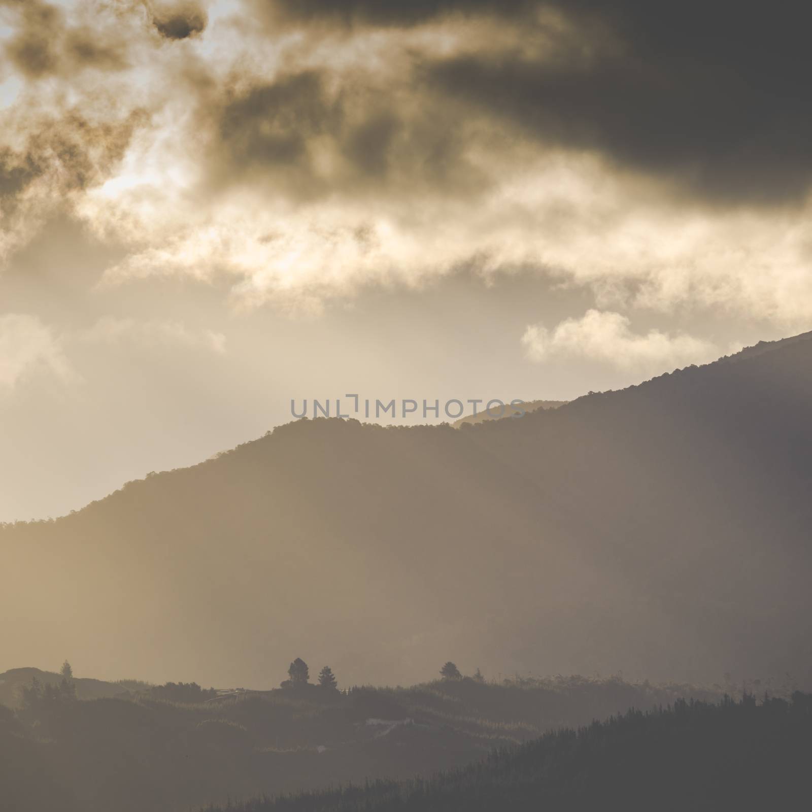 Sunset on the mountain. Motueka New Zealand