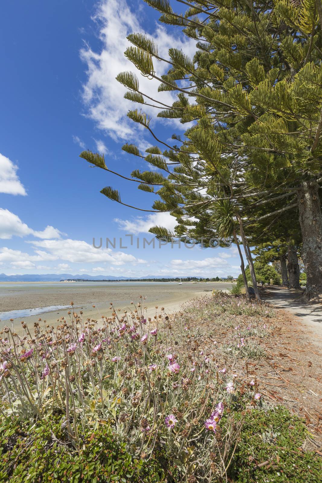 Calm seas of the Abel Tasman National Park, South Island, New Zealand

