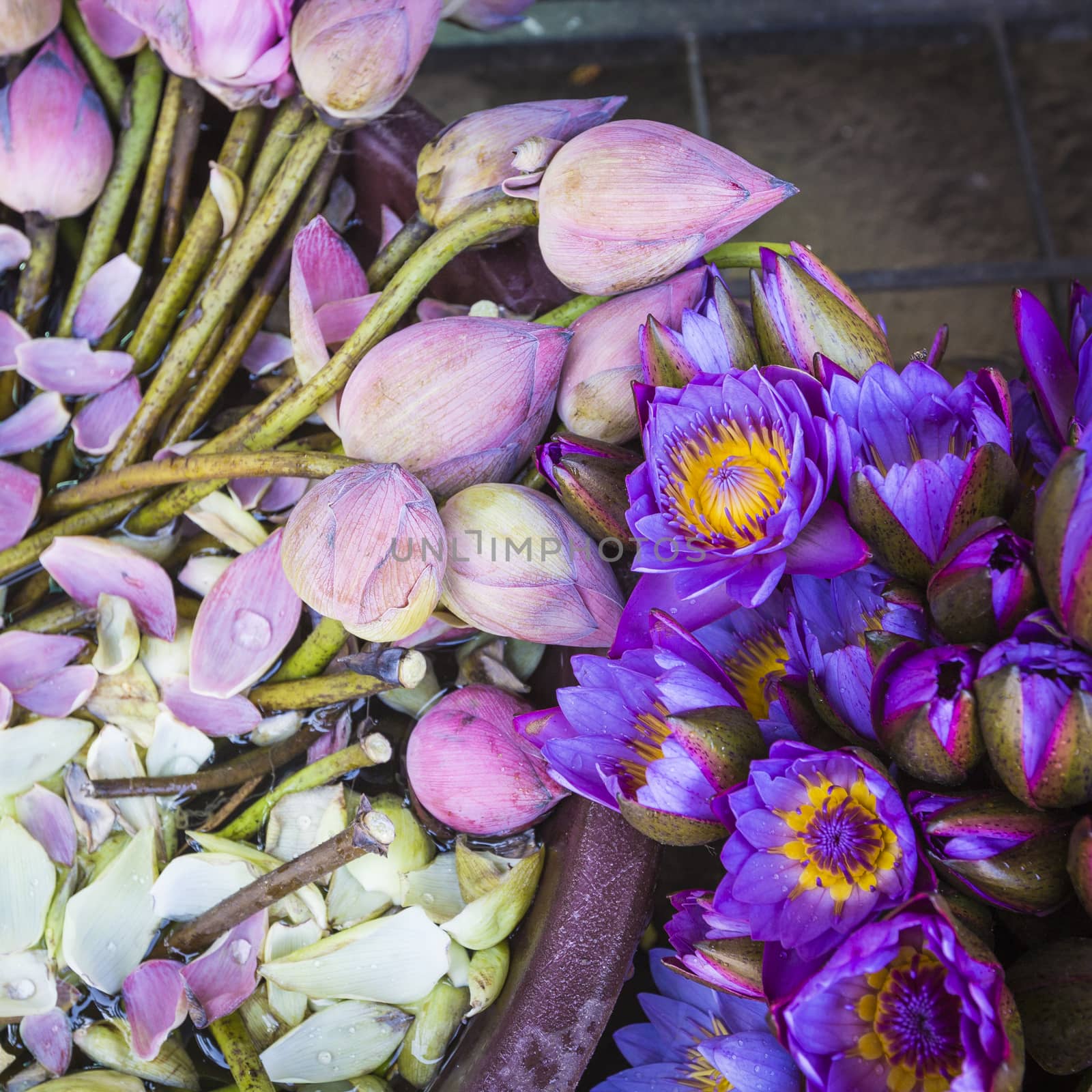 Flowers sold to be used as offerings in front of the Temple of the Tooth Relic in Kandy (Sri Lanka).