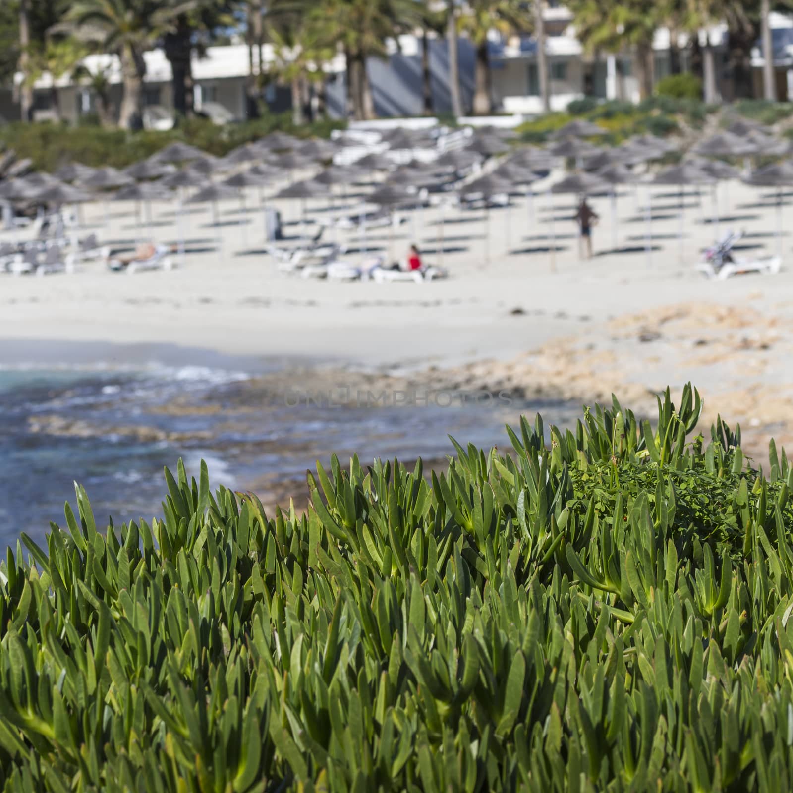 A view of a azzure water and Nissi beach in Aiya Napa, Cyprus

