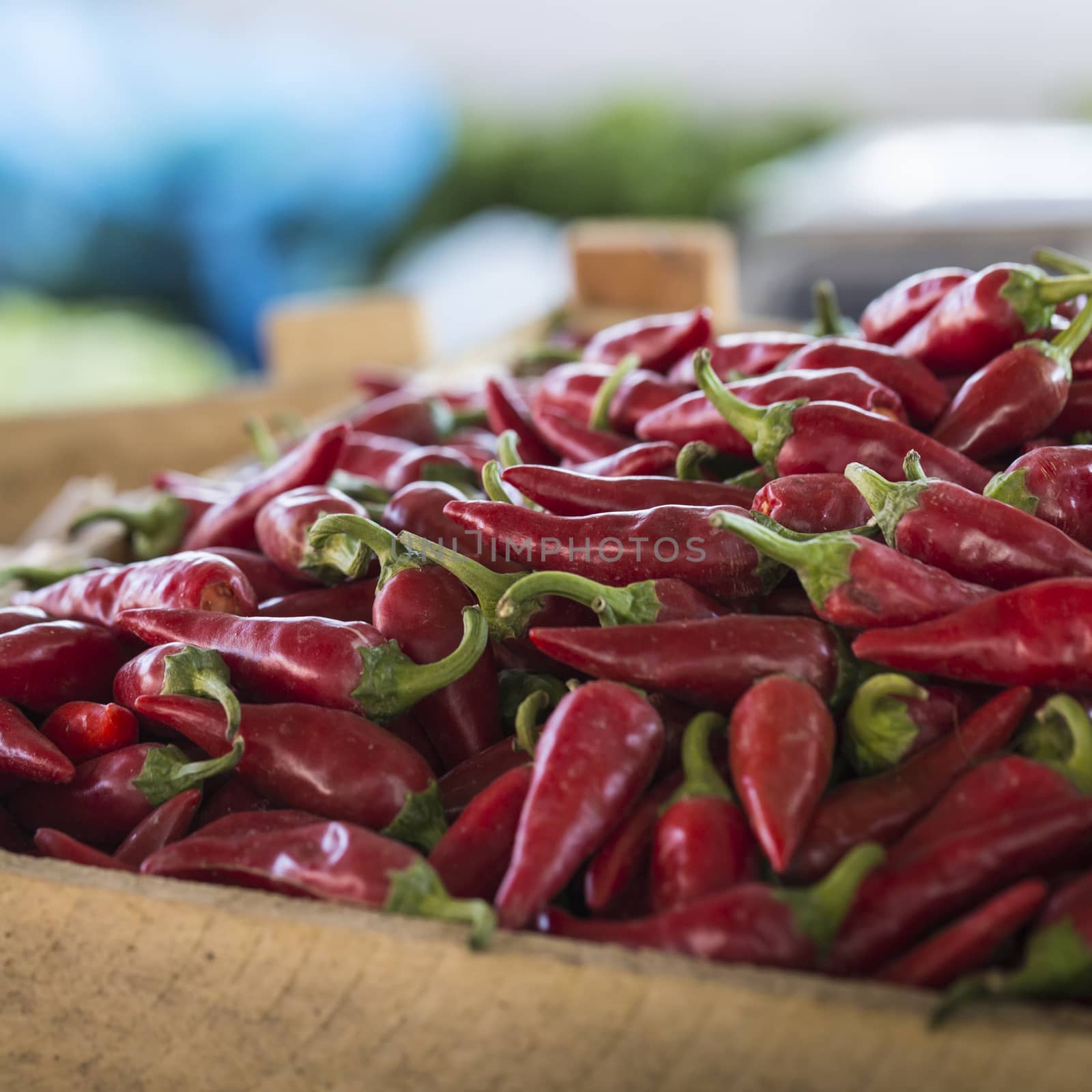 The picture shows a pile of small, red, very hot and spicy chilli peppers on an asian market.