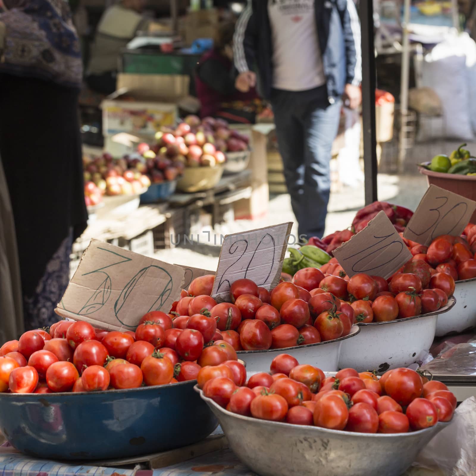 Fresh tomatoes from farm in a basket by mariusz_prusaczyk