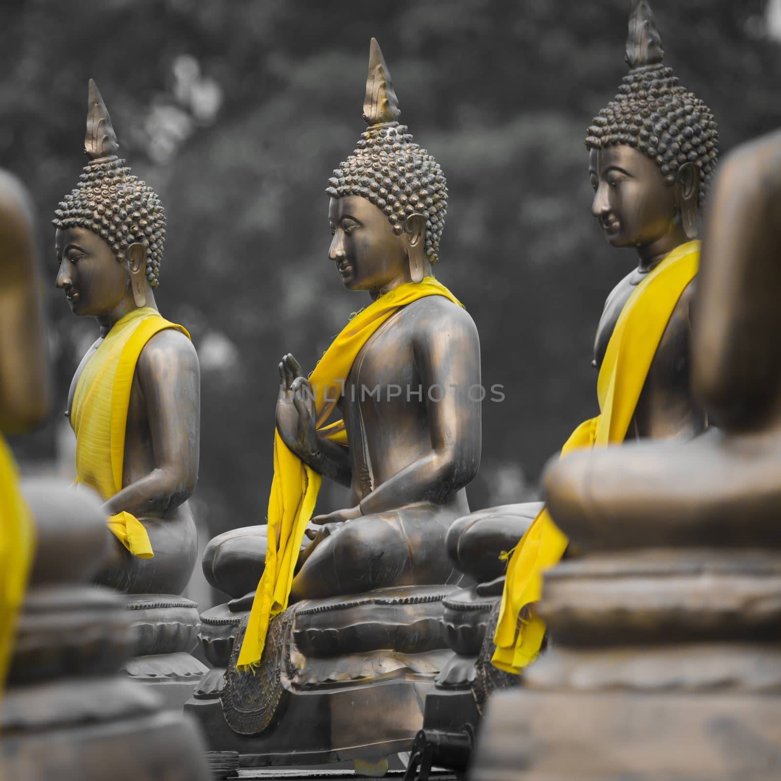 Buddha Statues in Seema Malaka Temple, Colombo, Sri Lanka by mariusz_prusaczyk