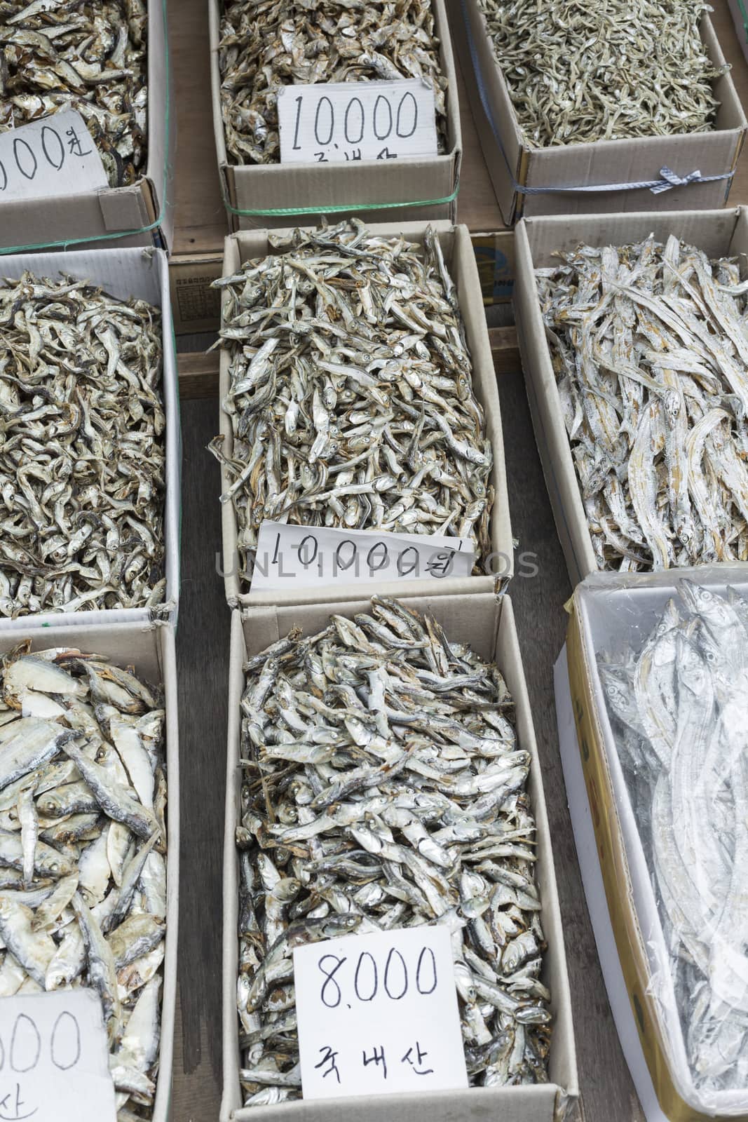 Dried fish market in South Korea