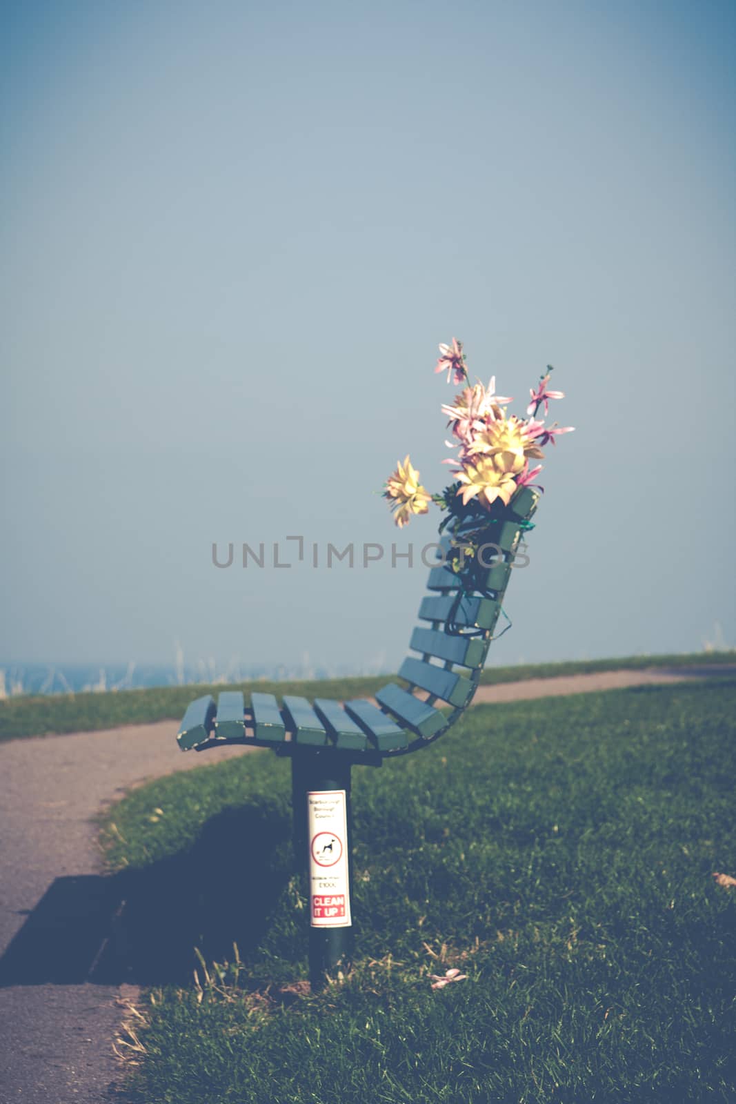 lonely Park bench with flower by jlsphotos