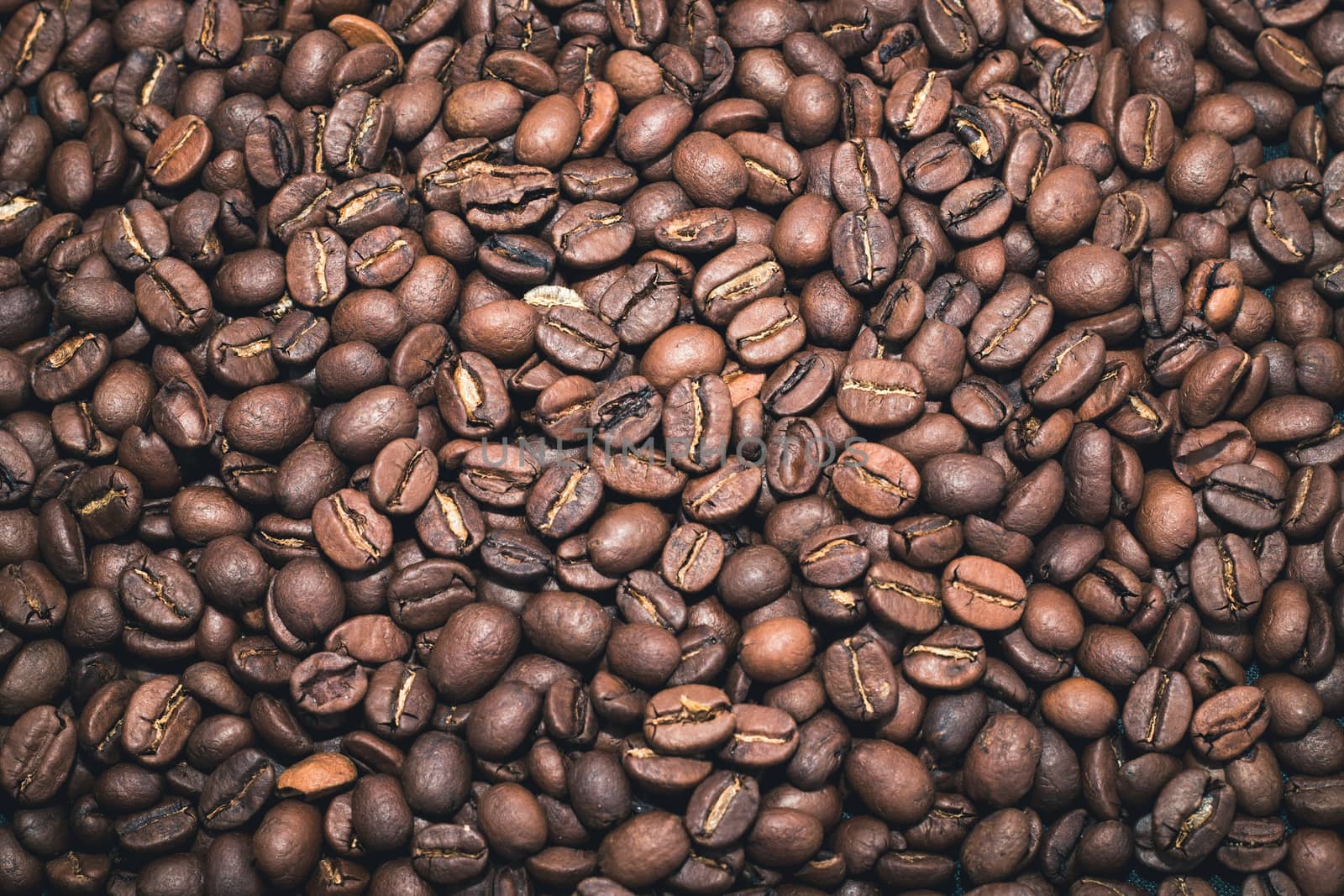 coffee beans lay flat covering the whole screen