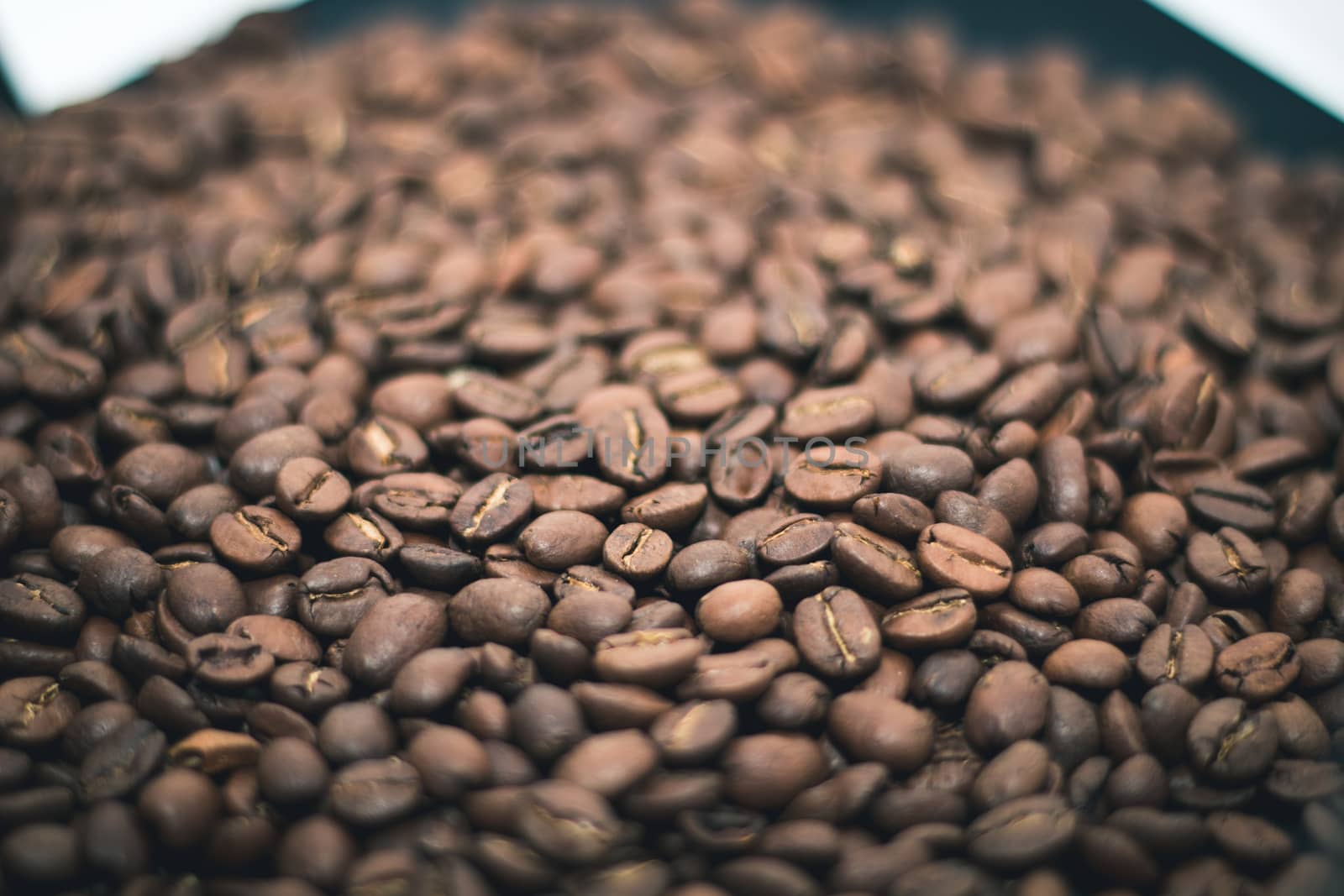 coffee beans lay flat covering the whole screen
