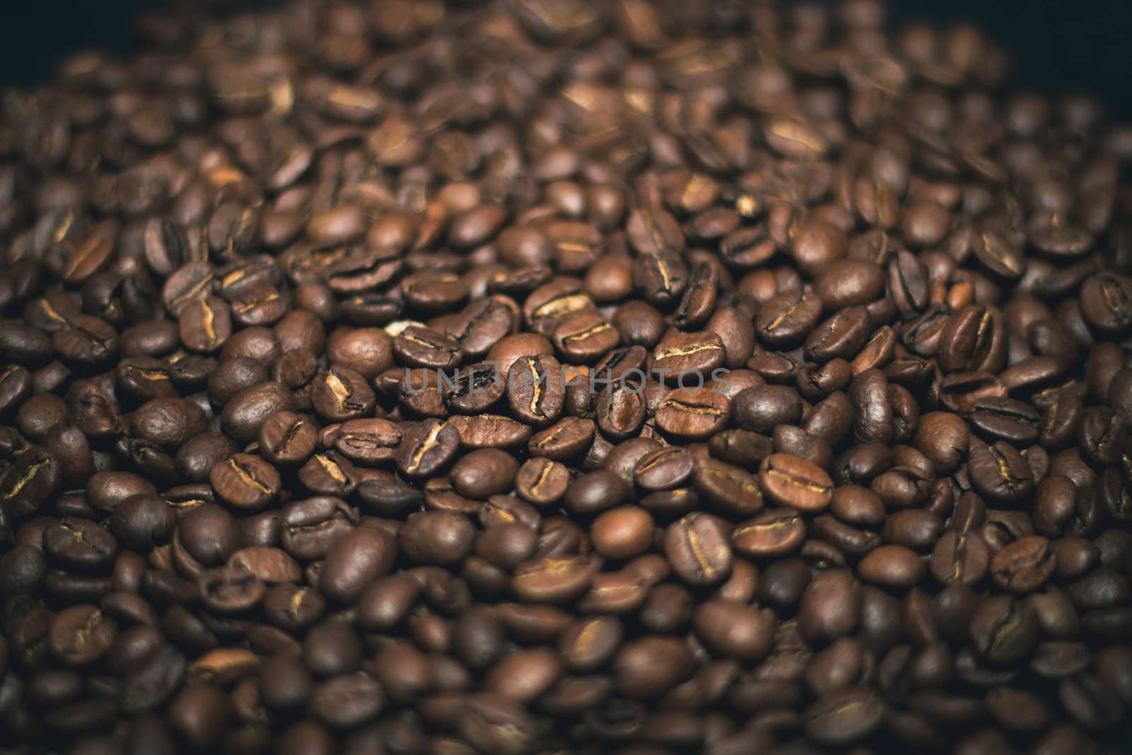 coffee beans lay flat covering the whole screen
