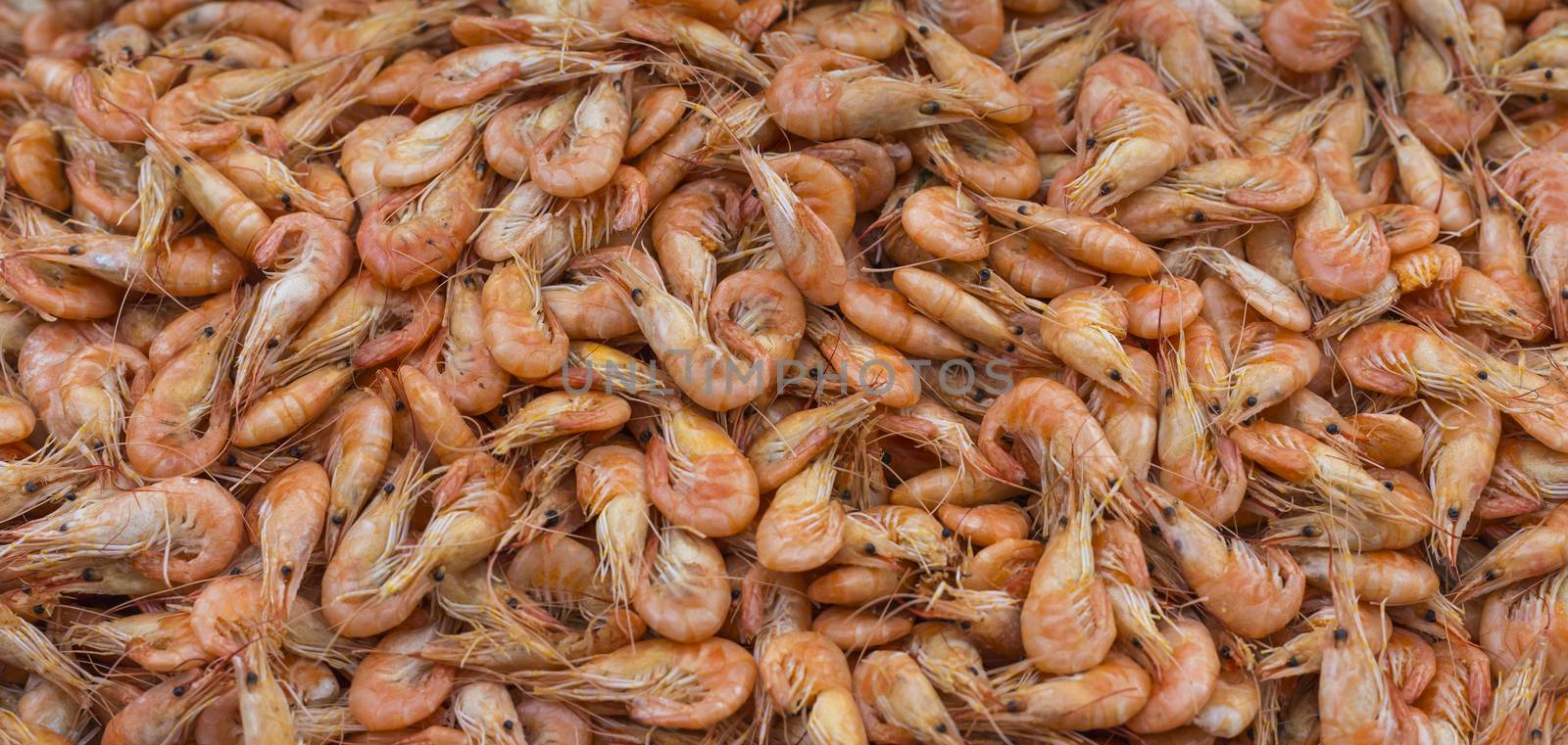 Fresh shrimp at at outdoor seafood market  by mariusz_prusaczyk