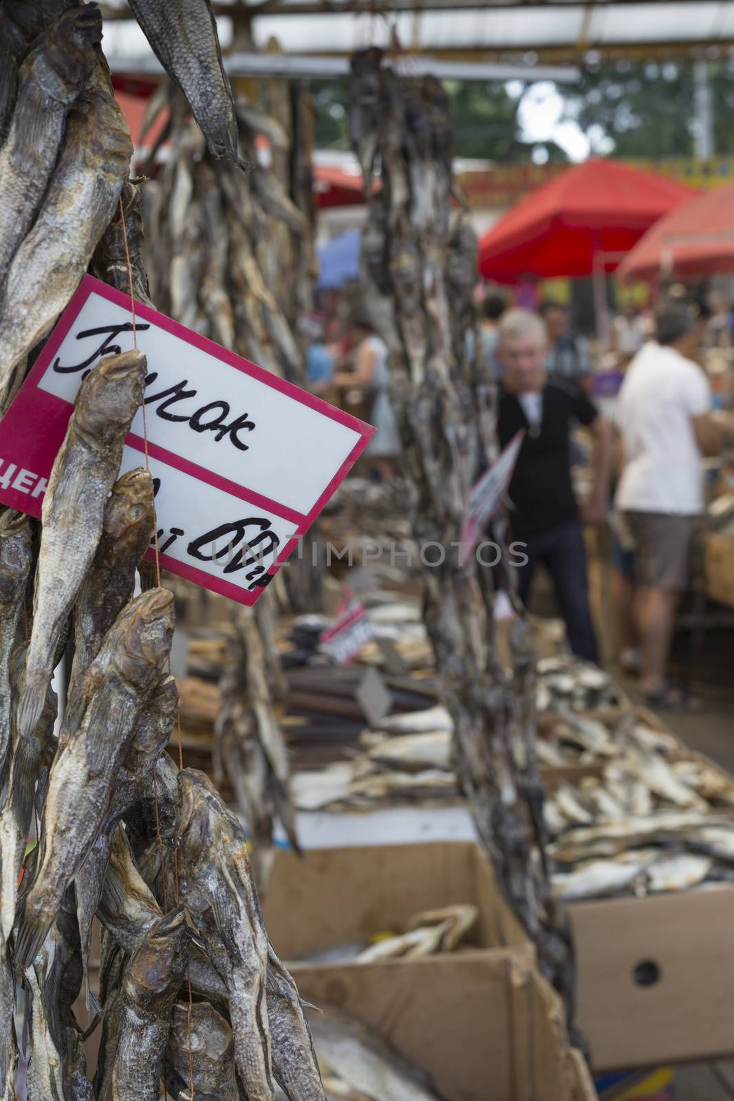Dried salted fish at a farmers market in Odessa, Ukraine. by mariusz_prusaczyk