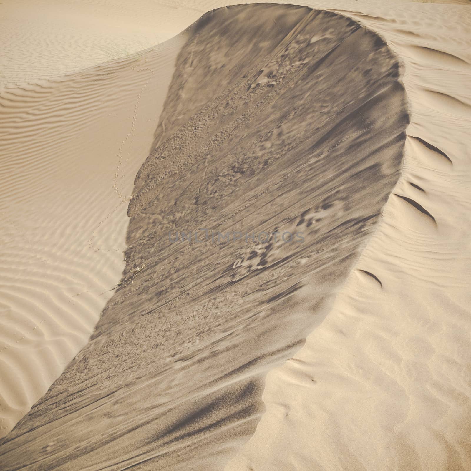 Sand dunes in the Sahara Desert, Morocco by mariusz_prusaczyk