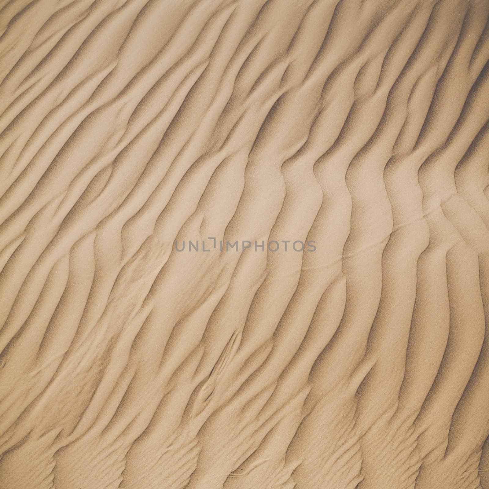 Sand dunes in the Sahara Desert, Morocco by mariusz_prusaczyk