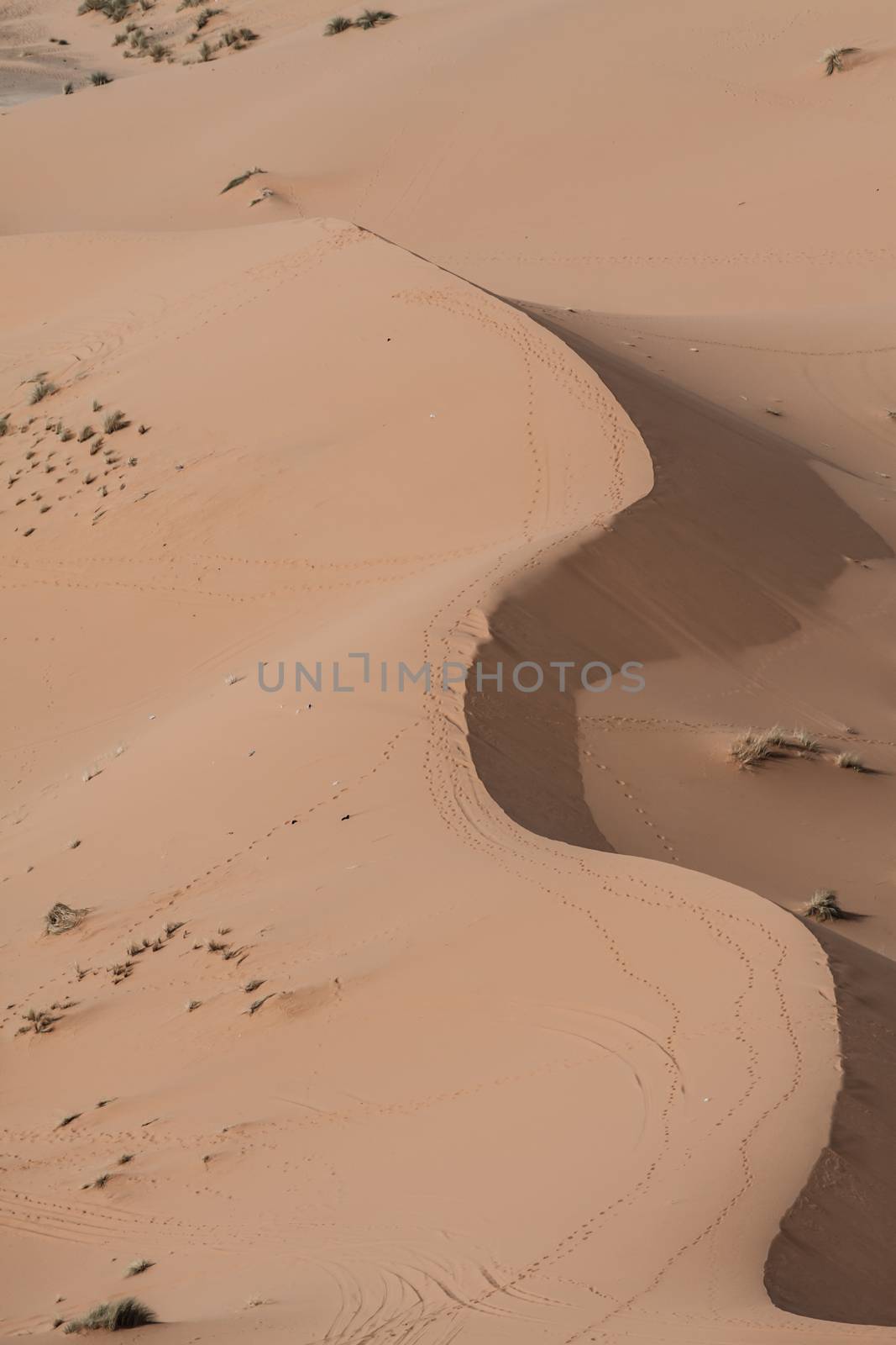 Sand dunes at sunset in the Sahara  in Morocco ( HDR image )