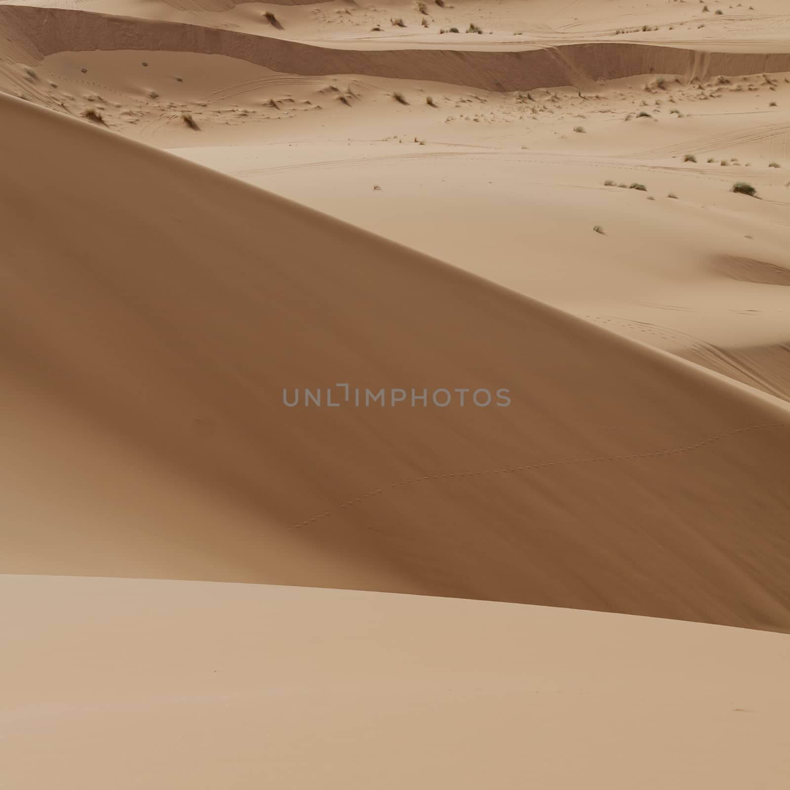 Sand dunes in the Sahara Desert, Morocco by mariusz_prusaczyk