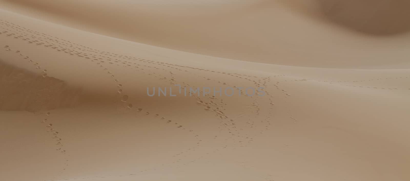 Sand dunes in the Sahara Desert, Morocco by mariusz_prusaczyk