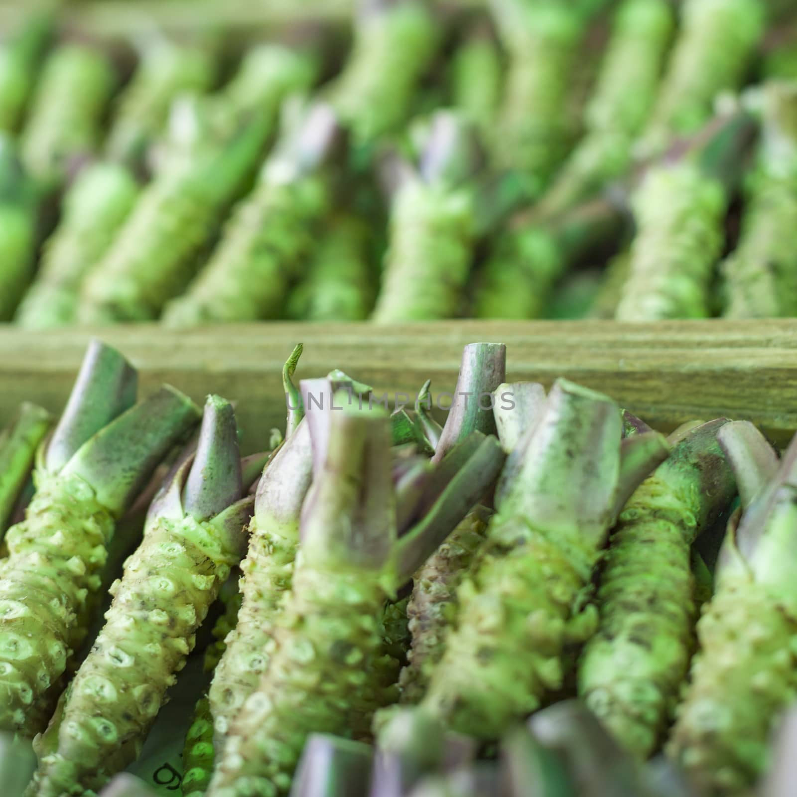 Wasabi root for sale in a typical japanese market

