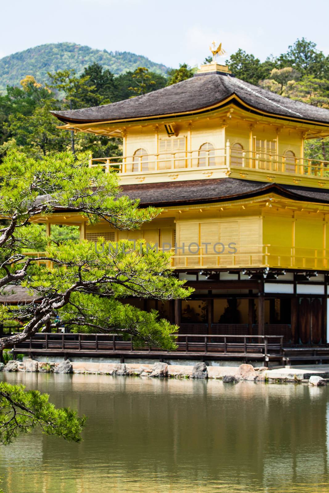 Famous Golden Pavilion Kinkaku-ji in Kyoto Japan  by mariusz_prusaczyk