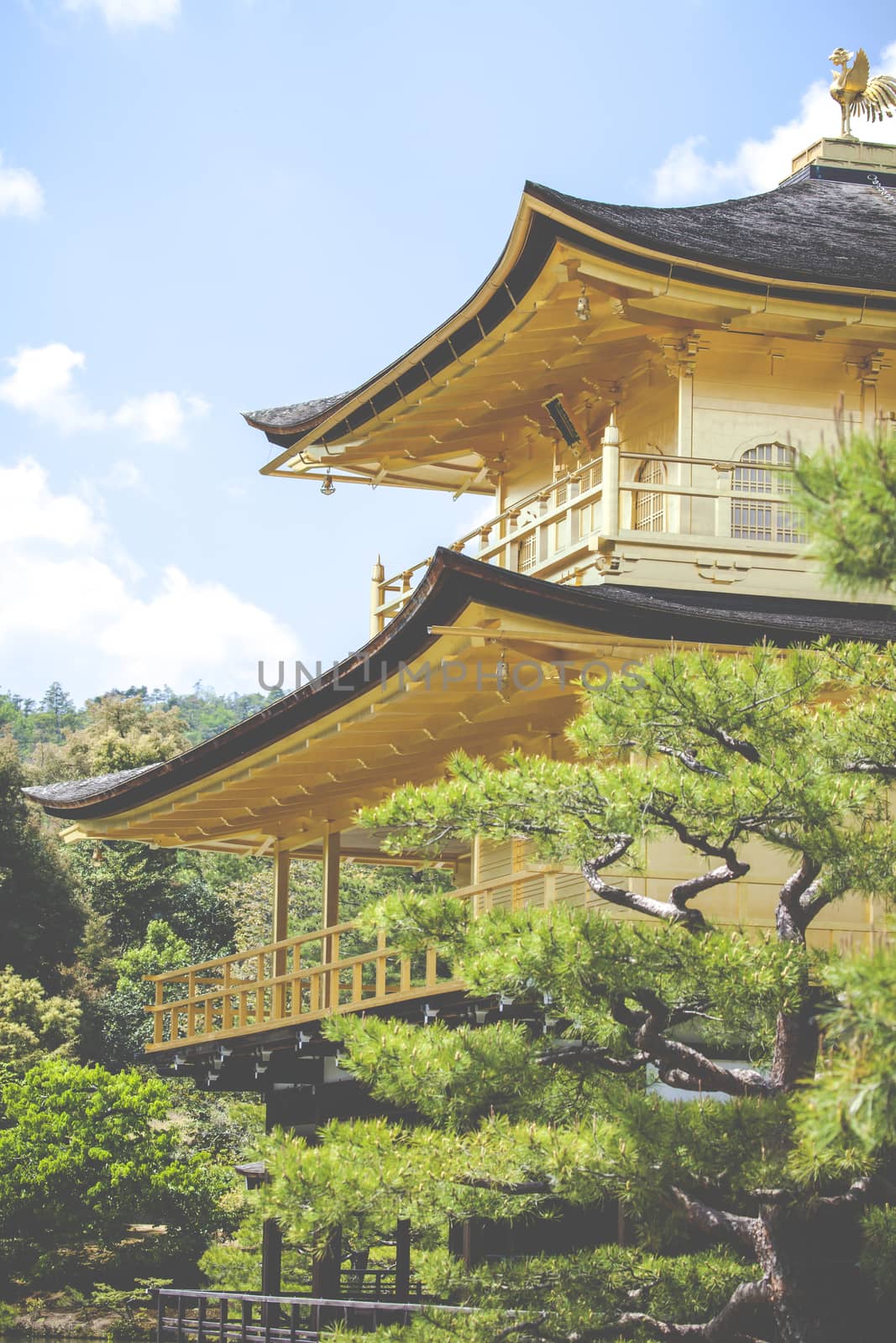 Famous Golden Pavilion in Kyoto (Japan) by mariusz_prusaczyk