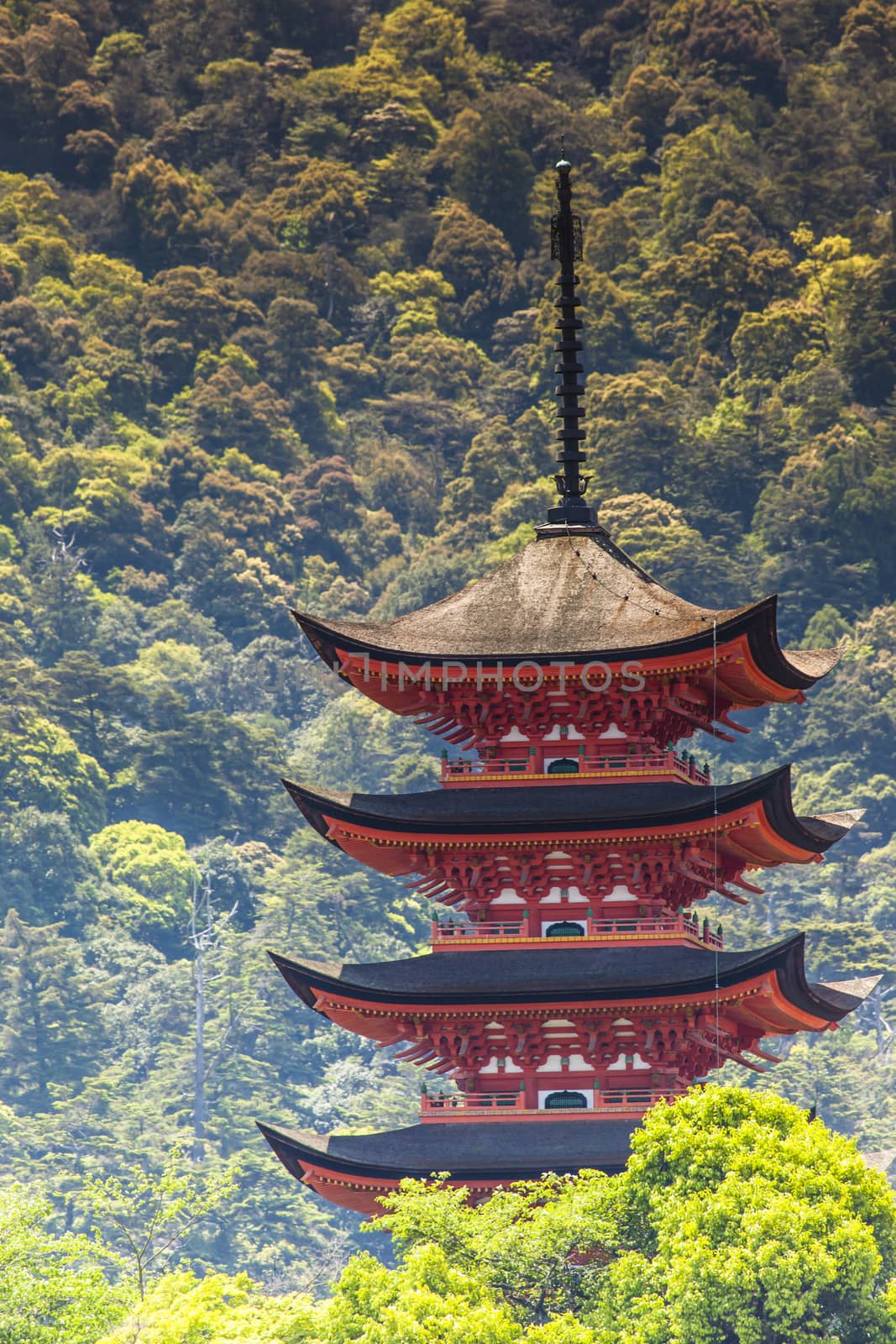 Five-storey pagoda in Miyajima, Japan  by mariusz_prusaczyk