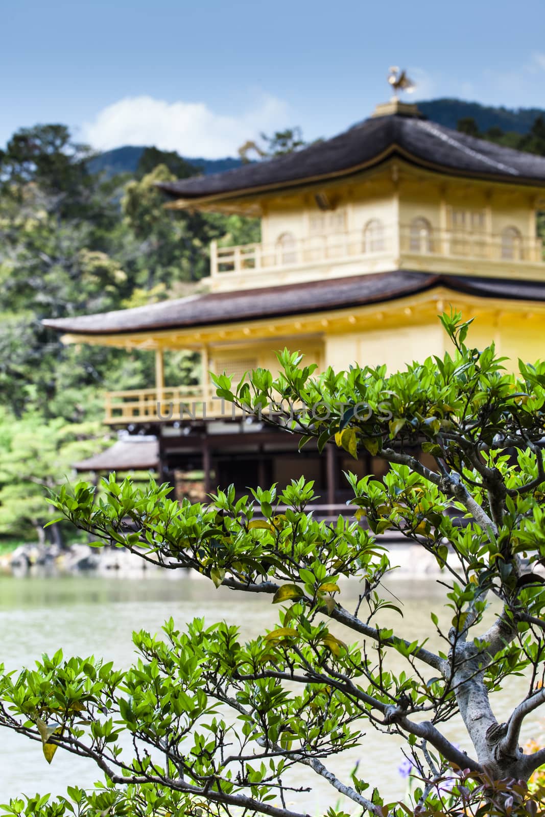 Famous Golden Pavilion in Kyoto (Japan)