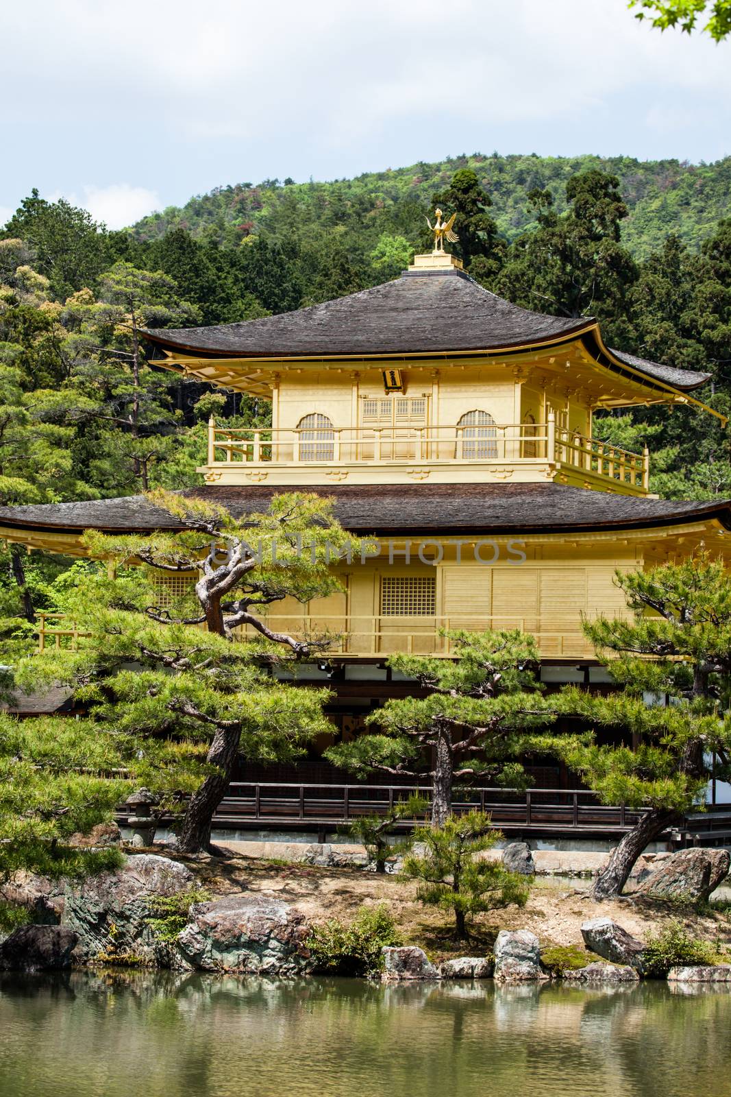 Famous Golden Pavilion Kinkaku-ji in Kyoto Japan 
