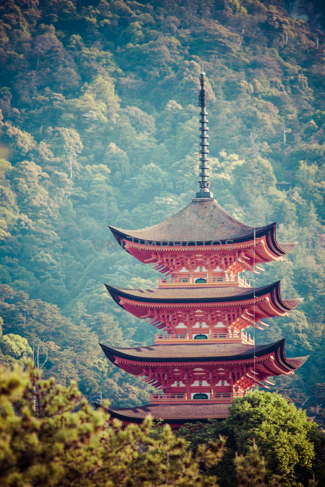 Five-storey pagoda in Miyajima, Japan by mariusz_prusaczyk