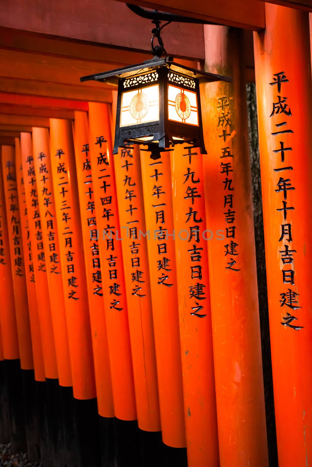 Fushimi Inari Taisha Shrine in Kyoto, Japan  by mariusz_prusaczyk