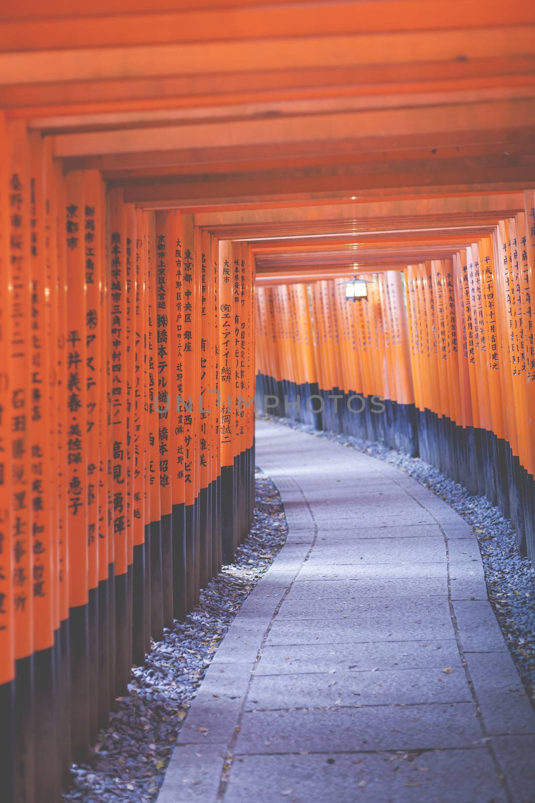 Fushimi Inari Taisha Shrine in Kyoto, Japan

