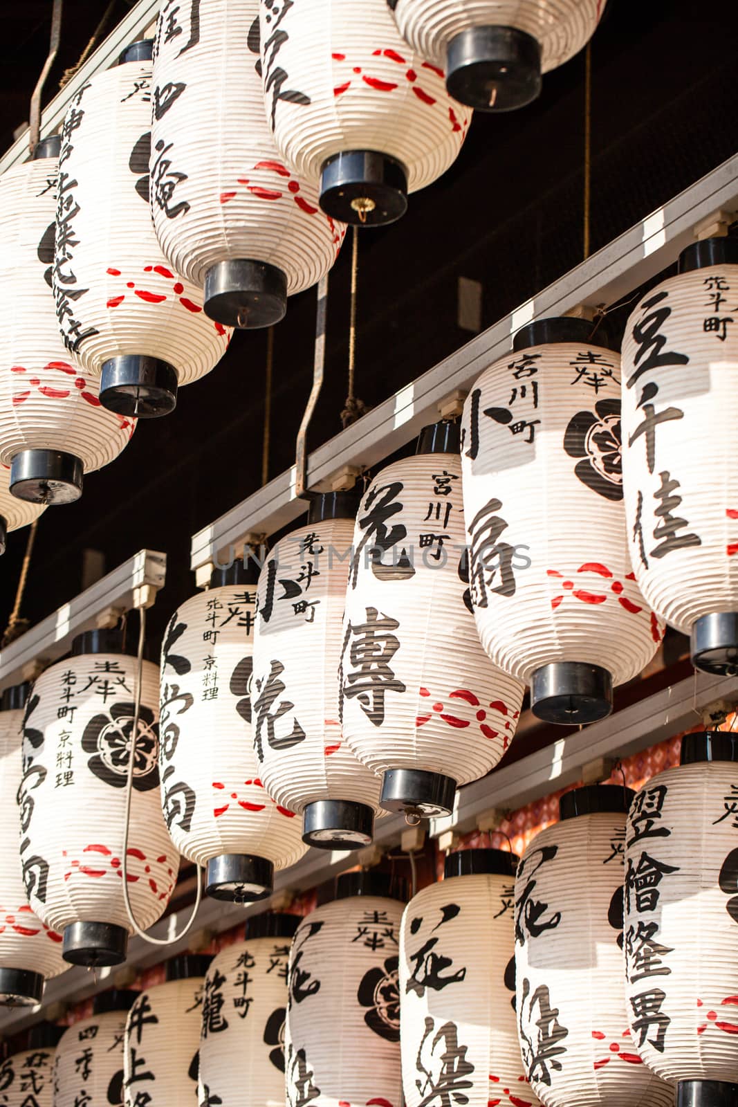 Japanese paper lanterns 