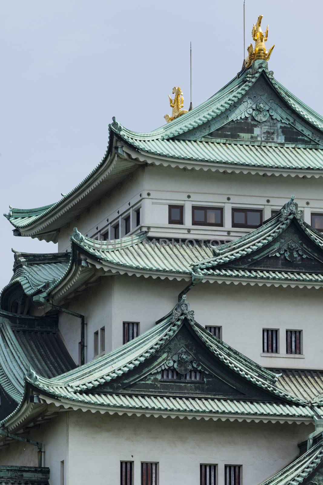 Nagoya Castle, Japan by mariusz_prusaczyk