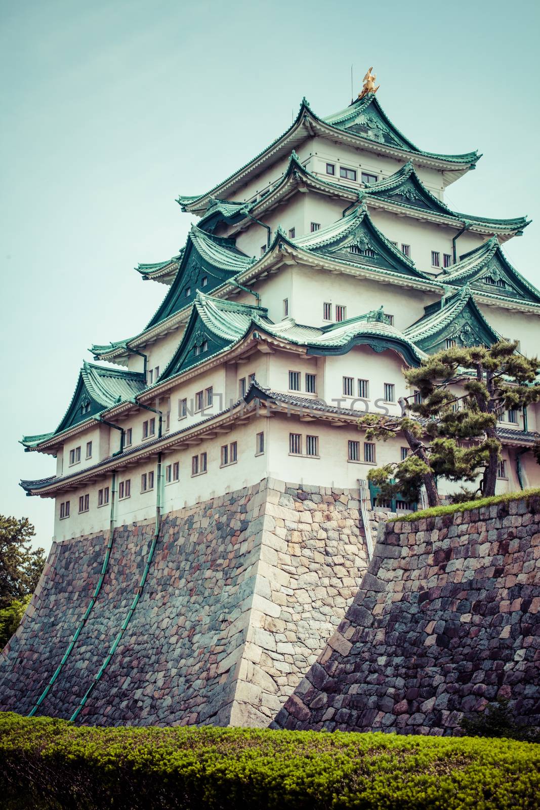 Nagoya Castle, Japan  by mariusz_prusaczyk