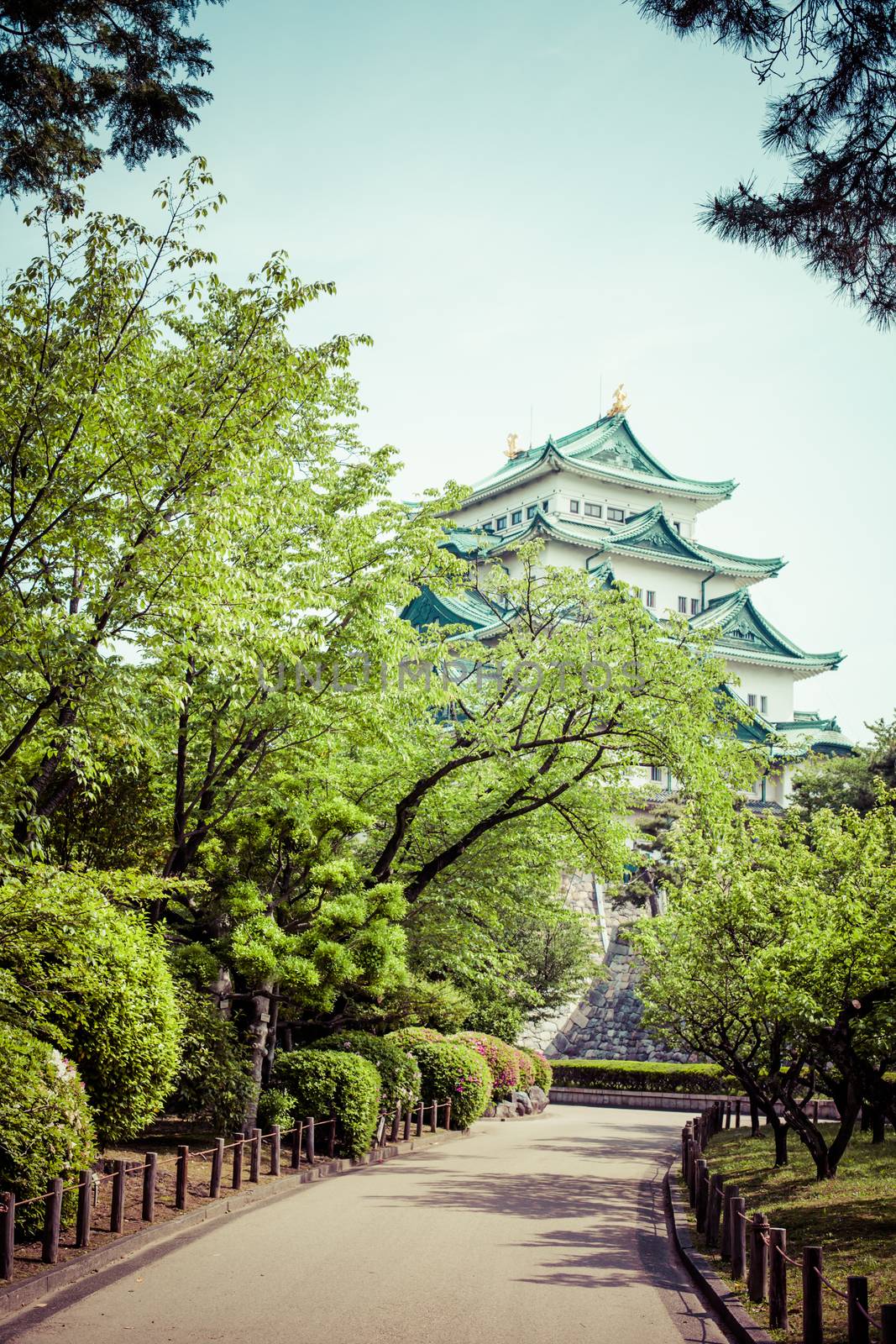 Nagoya Castle, Japan 