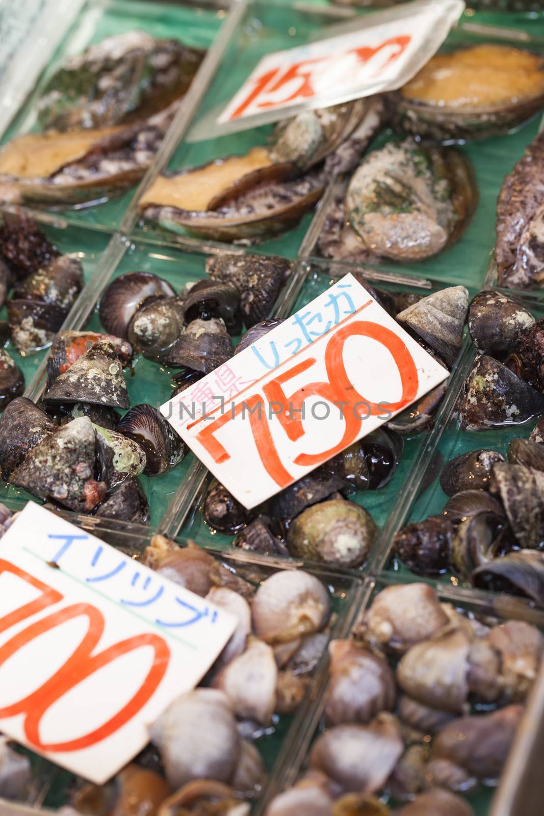 Raw seafood selling on market in Japan