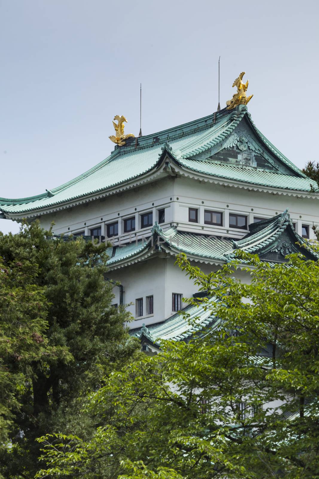 Nagoya Castle, Japan by mariusz_prusaczyk