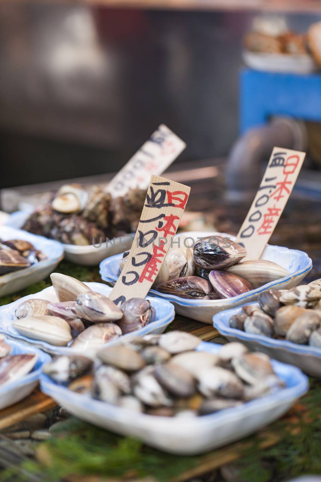 Raw seafood selling on market in Japan by mariusz_prusaczyk