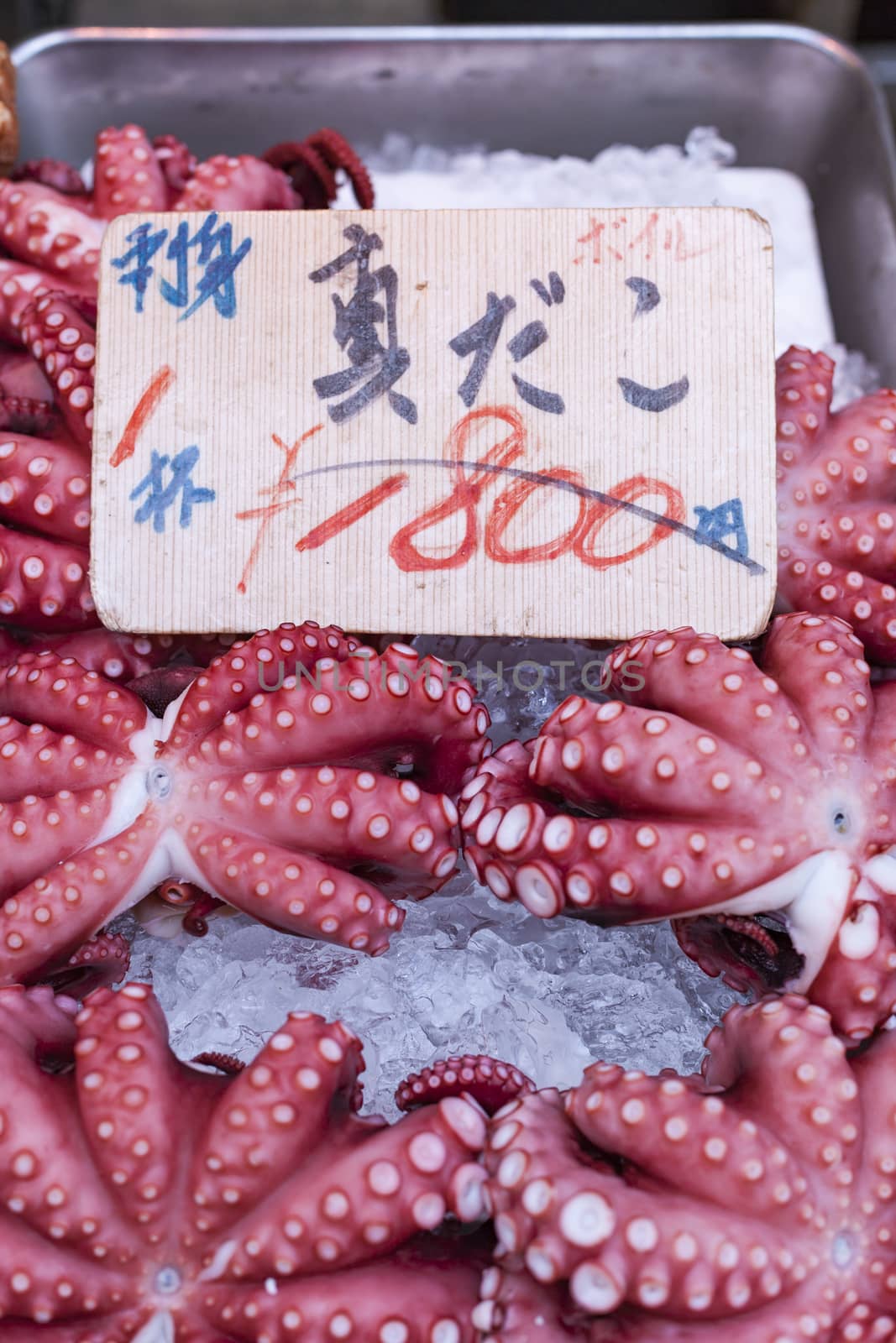 Red live octopus at Tsukiji fish market, Tokyo, Japan

