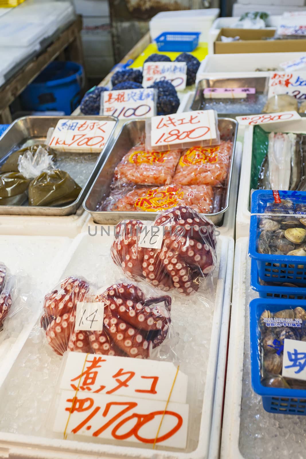 Red live octopus at Tsukiji fish market, Tokyo, Japan by mariusz_prusaczyk