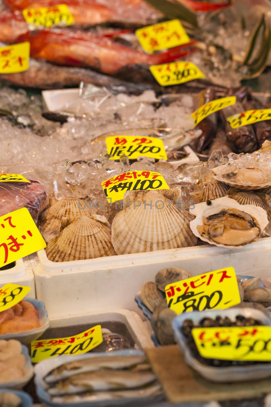 Raw seafood selling on market in Japan by mariusz_prusaczyk