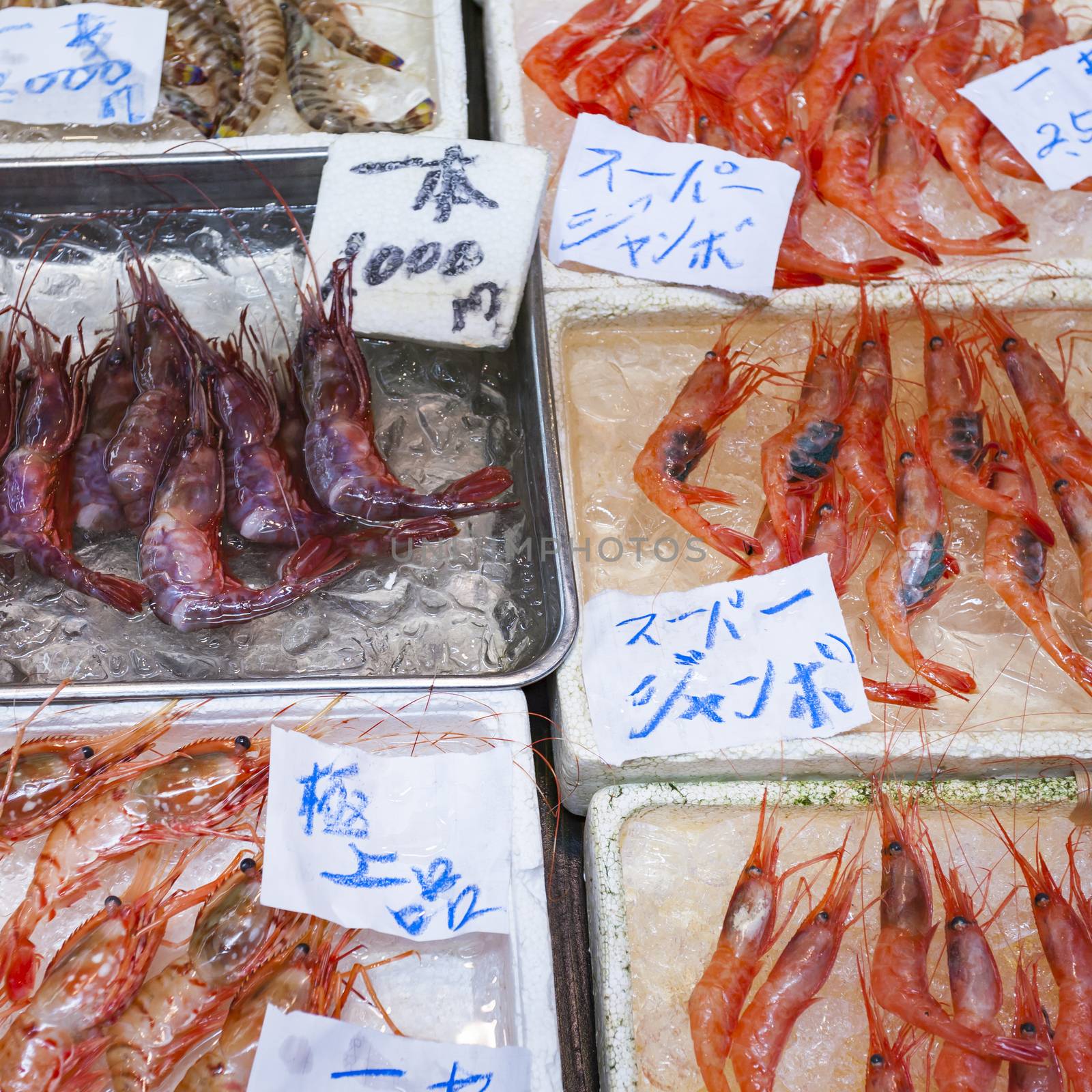 Raw seafood selling on market in Japan