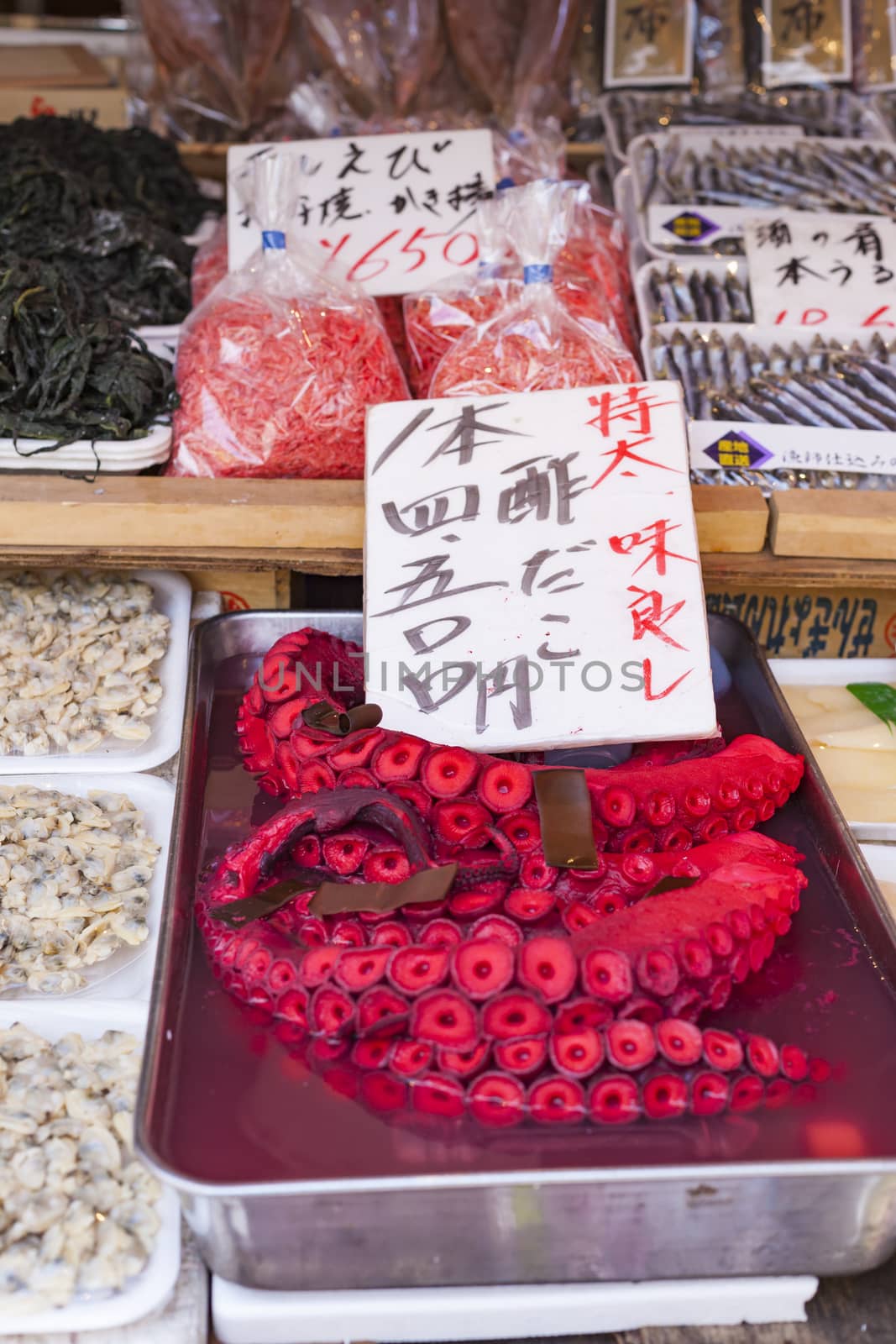Red live octopus at Tsukiji fish market, Tokyo, Japan by mariusz_prusaczyk