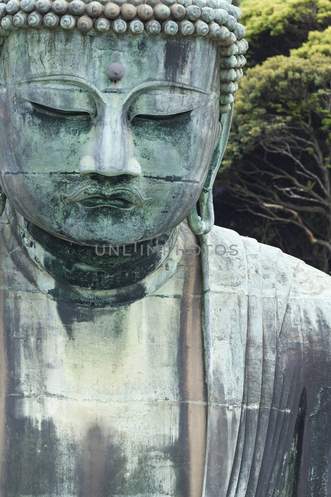 The Great Buddha (Daibutsu) on the grounds of Kotokuin Temple in by mariusz_prusaczyk