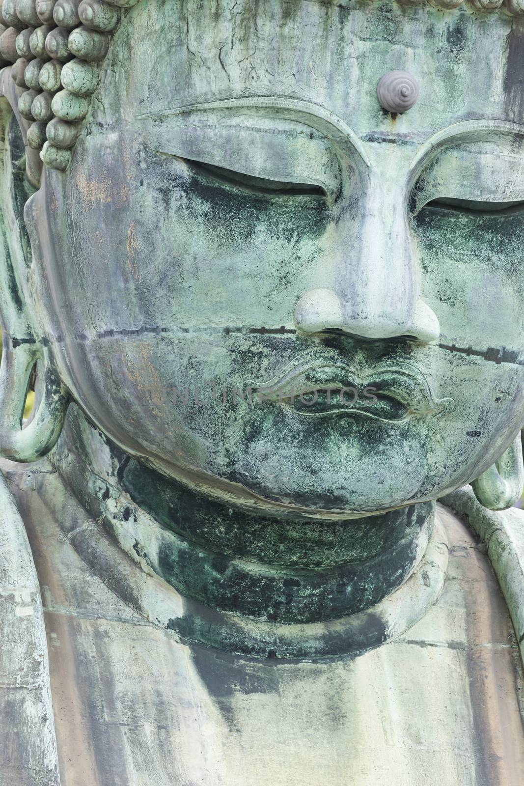The Great Buddha (Daibutsu) on the grounds of Kotokuin Temple in Kamakura, Japan.

