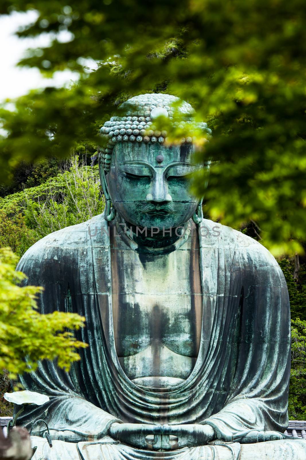 The Great Buddha (Daibutsu) on the grounds of Kotokuin Temple in Kamakura, Japan.  by mariusz_prusaczyk