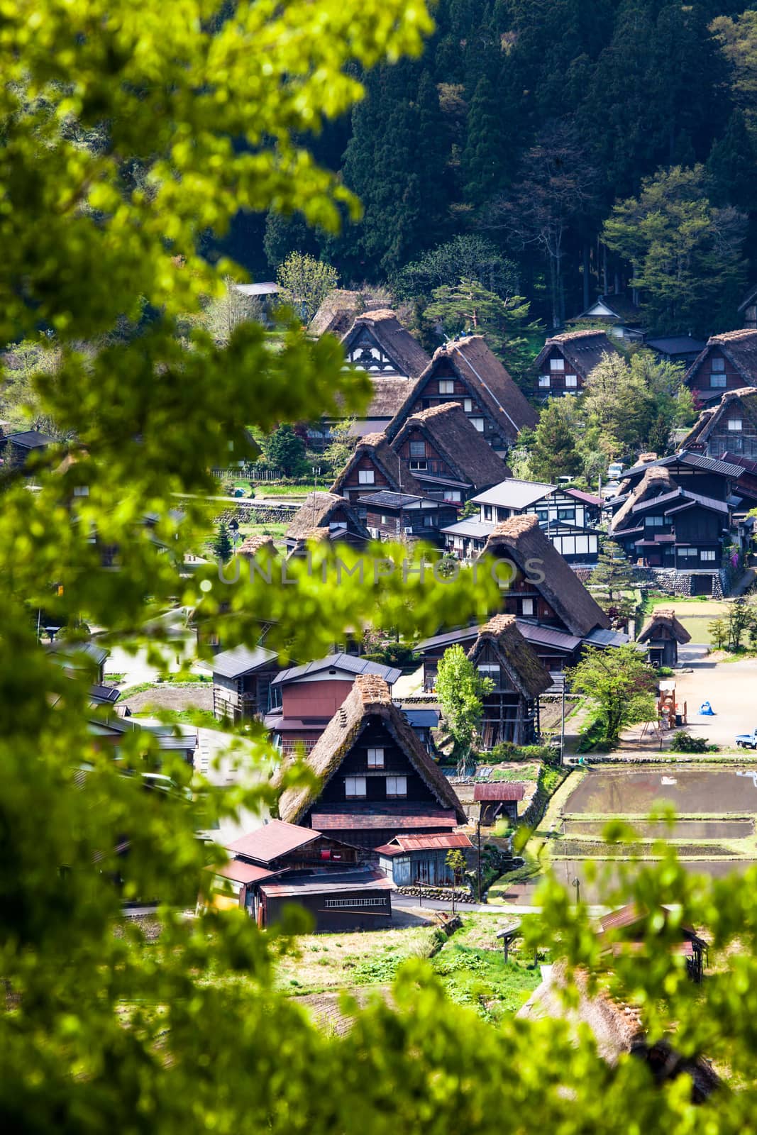 Traditional and Historical Japanese village Ogimachi - Shirakawa-go, Japan  by mariusz_prusaczyk