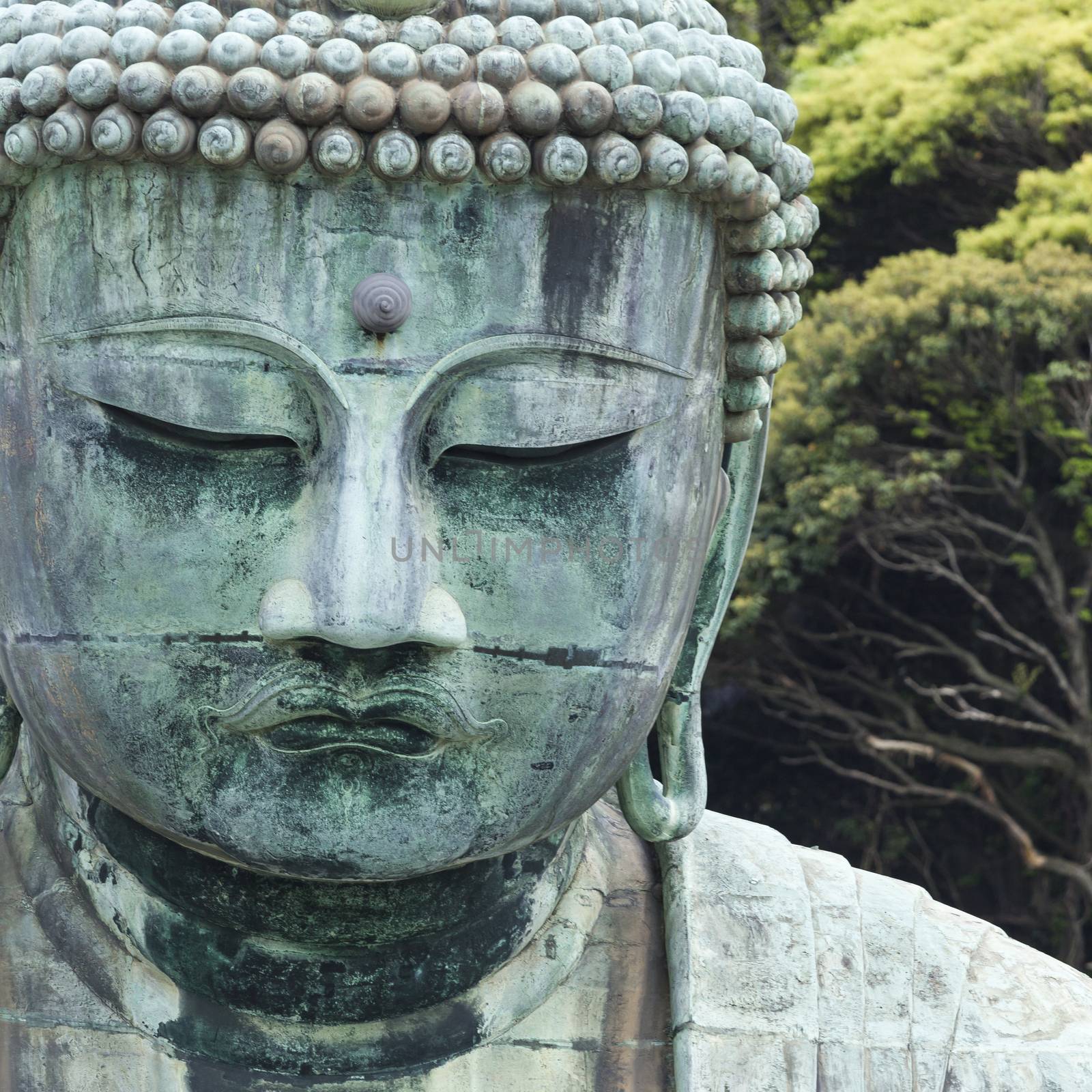 The Great Buddha (Daibutsu) on the grounds of Kotokuin Temple in by mariusz_prusaczyk