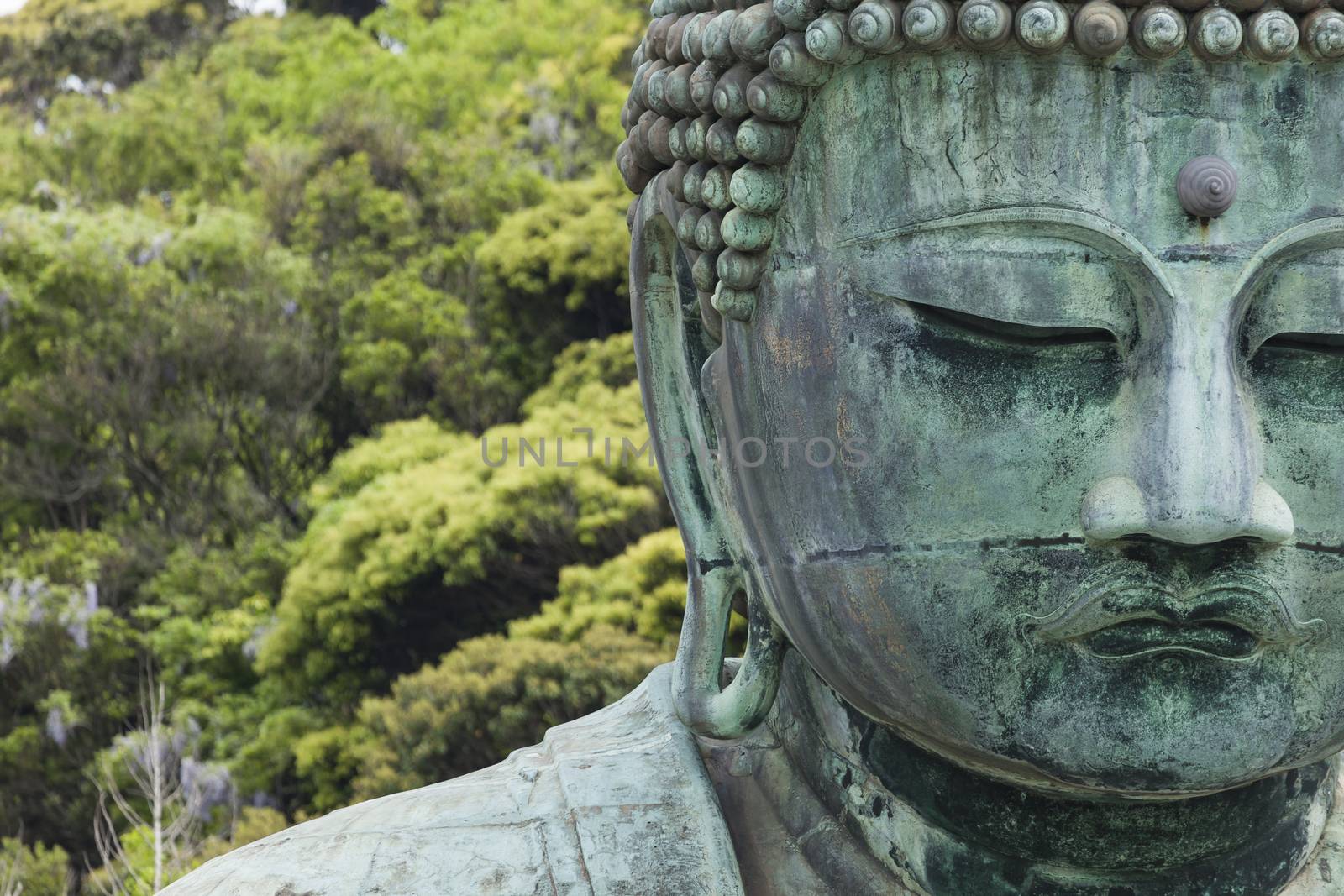 The Great Buddha (Daibutsu) on the grounds of Kotokuin Temple in Kamakura, Japan.

