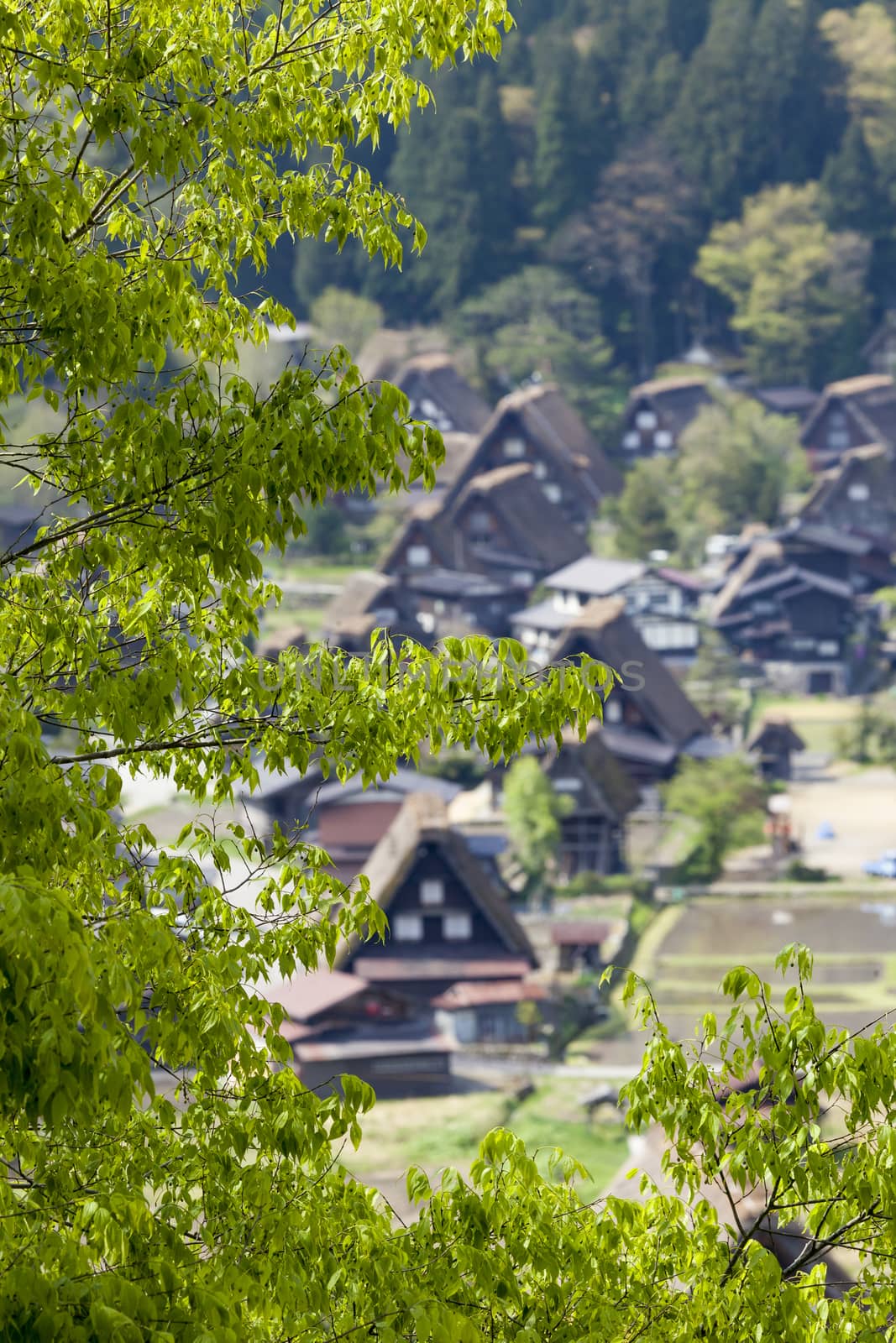 Traditional and Historical Japanese village Ogimachi - Shirakawa by mariusz_prusaczyk